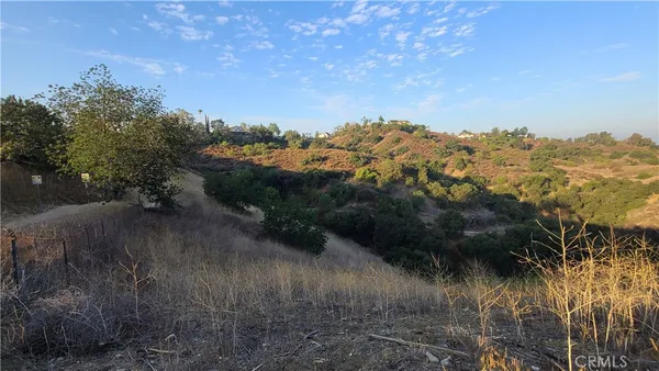 a view of a yard with wooden fence