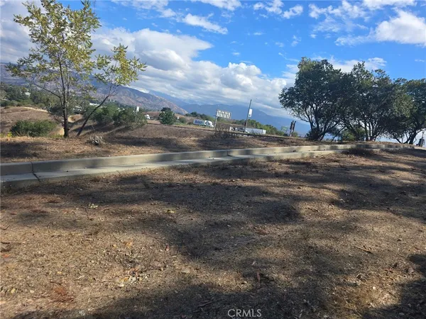 a view of dirt yard with a large tree