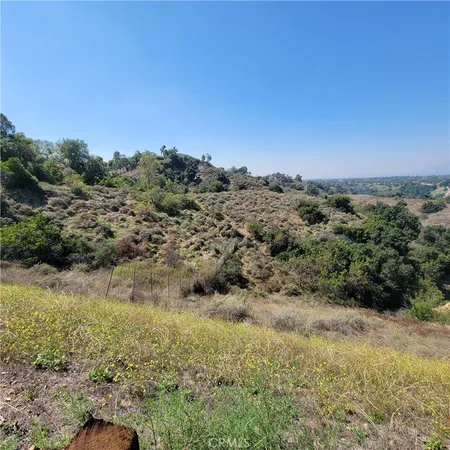 a view of a field with trees in the background