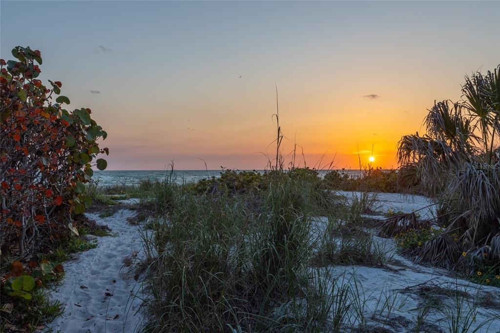 560 Gulf Bay Road Longboat Key, FL 34228 - Photo 33 of 38 a view of a garden