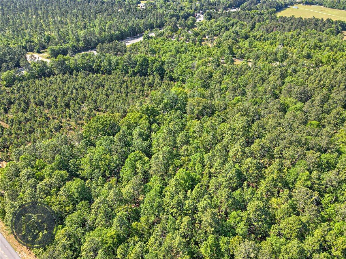 Lot 1 Whiskey Road Aiken, SC 29803 - Photo 10 of 15