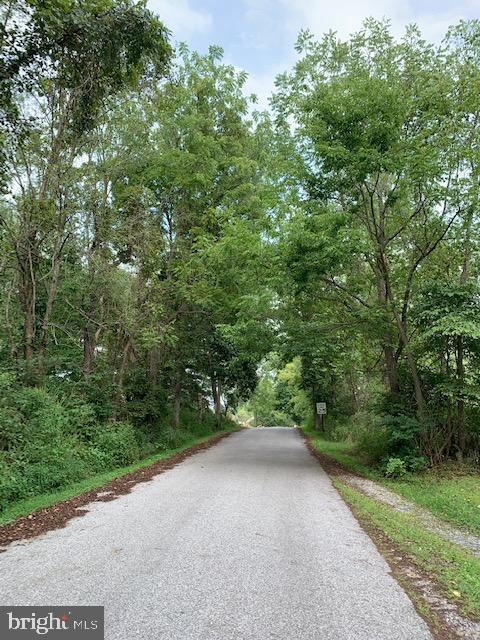 155 Farm Valley Road Wellsville, PA 17365 - Photo 29 of 31 a view of a forest that has a tree in the background