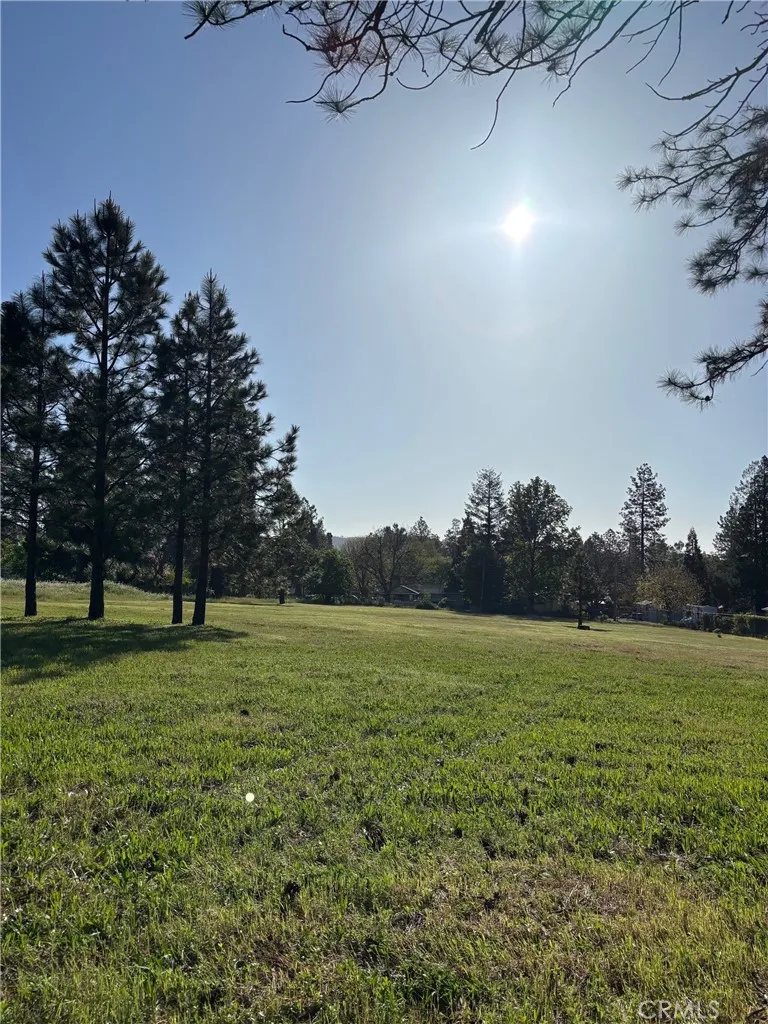 0 Libby Paradise, CA 95969 - Photo 5 of 11