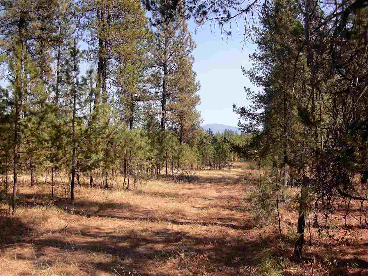 99999 North Perry Road Chattaroy, WA 99003 - Photo 1 of 11