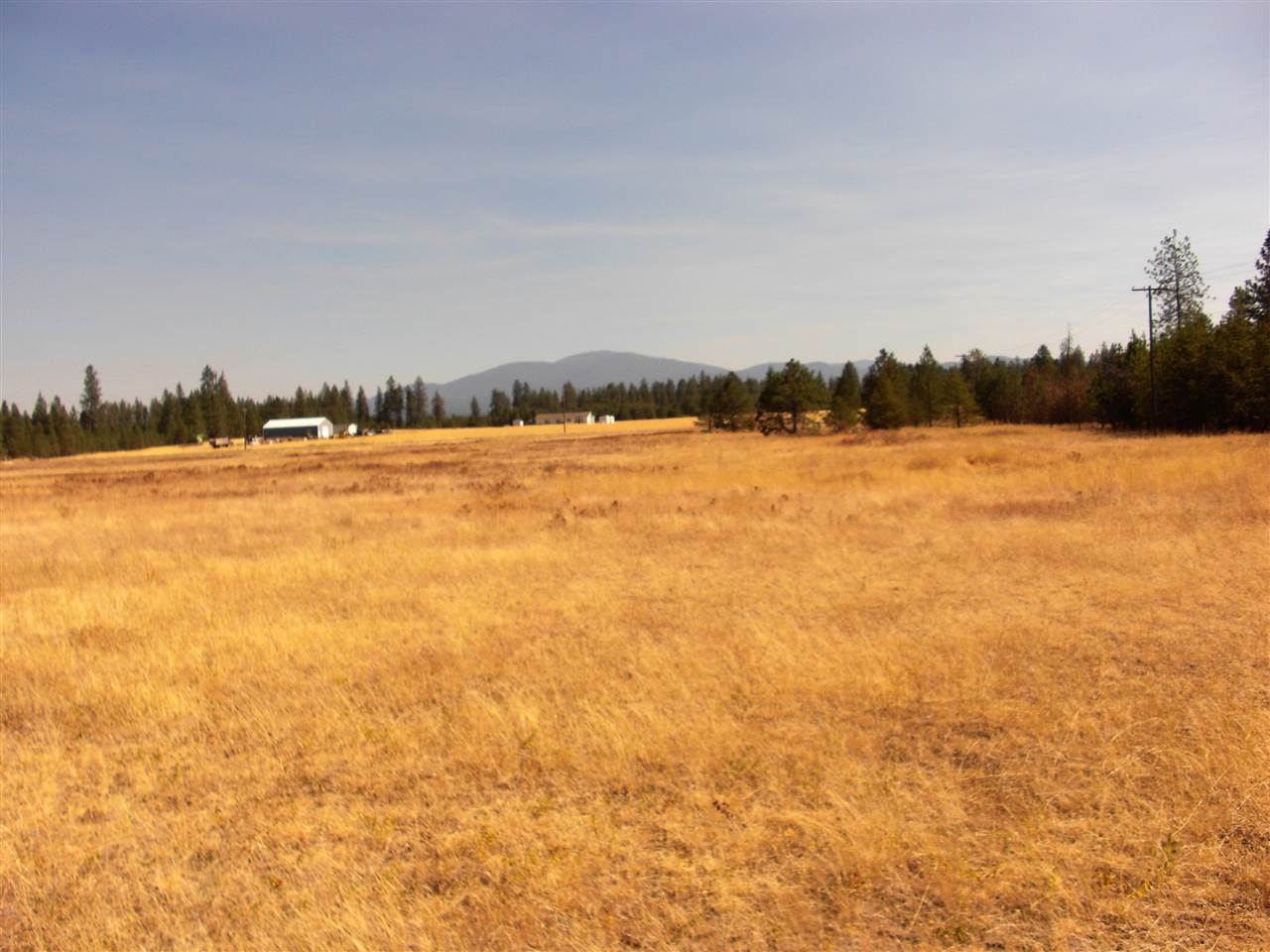 99999 North Perry Road Chattaroy, WA 99003 - Photo 3 of 11
