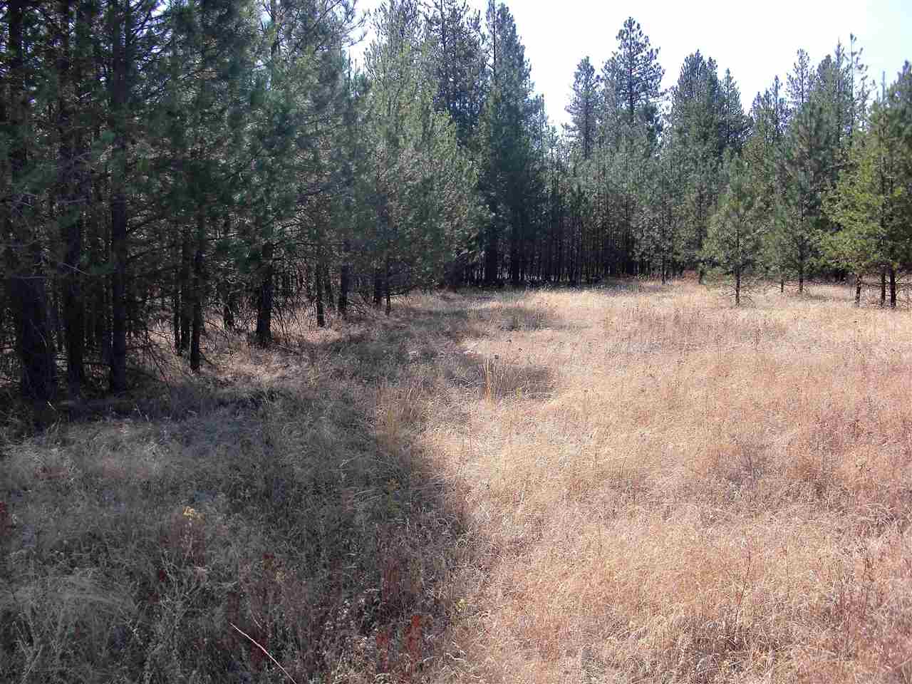 99999 North Perry Road Chattaroy, WA 99003 - Photo 6 of 11