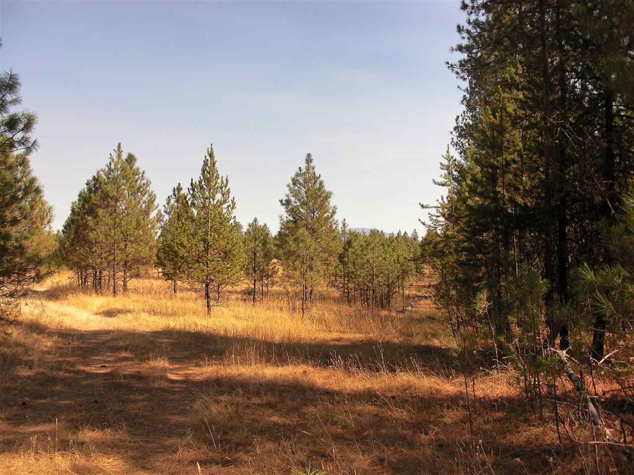 99999 North Perry Road Chattaroy, WA 99003 - Photo 8 of 11