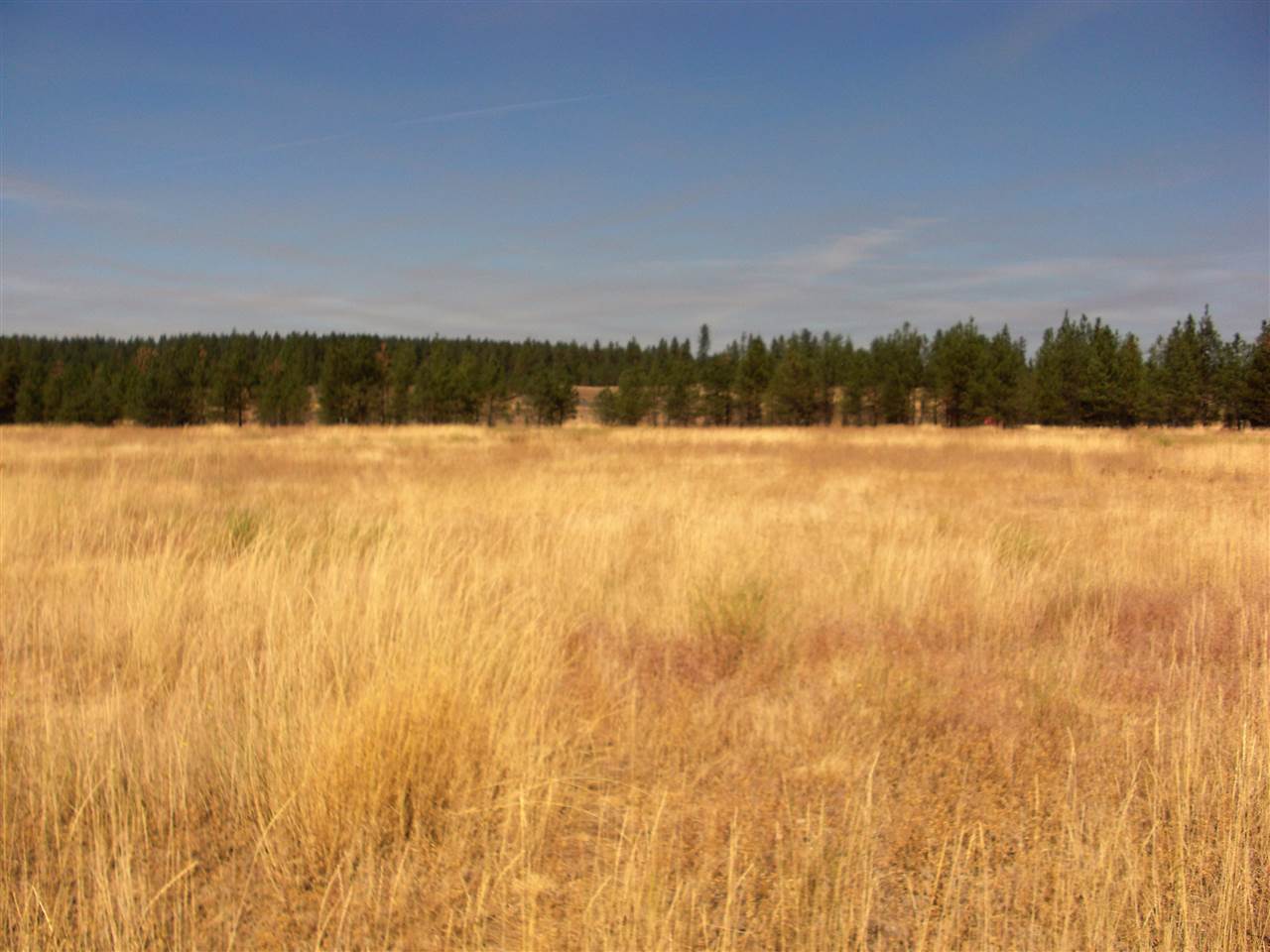99999 North Perry Road Chattaroy, WA 99003 - Photo 9 of 11