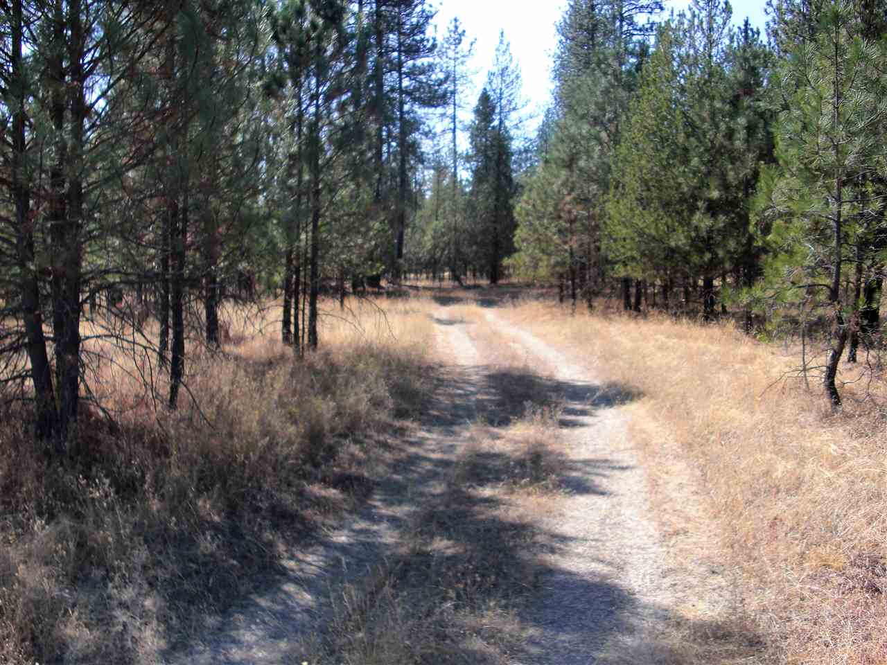 99999 North Perry Road Chattaroy, WA 99003 - Photo 10 of 11