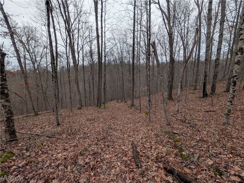 Brown Peavine Road Alledonia, OH 43902 - Photo 31 of 50