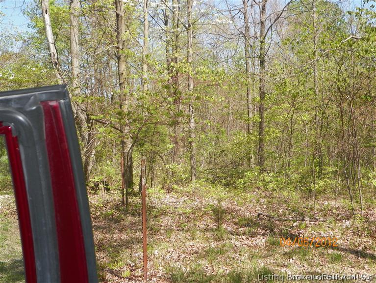 0 East Bacon Ridge Road English, IN 47118 - Photo 9 of 9