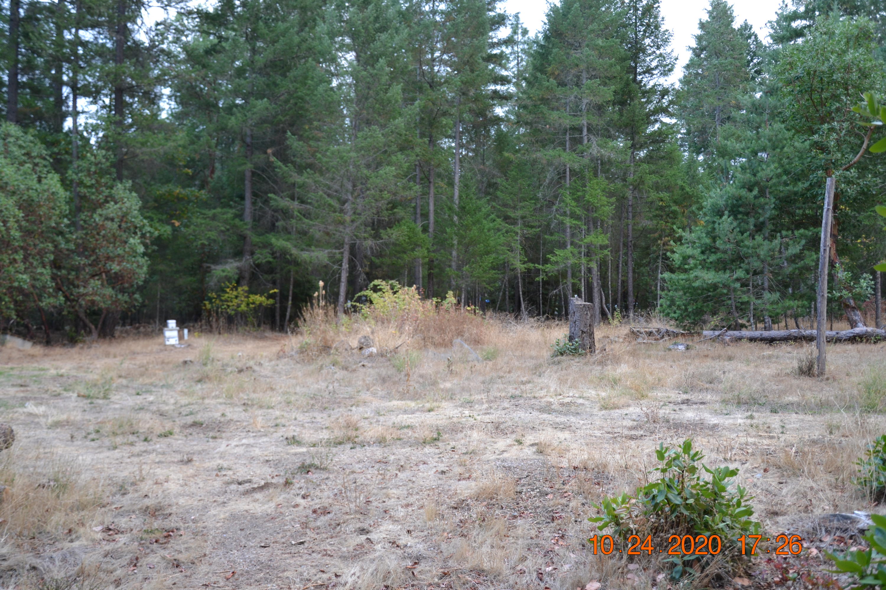 15567 Water Gap Road Williams, OR 97544 - Photo 25 of 36 DSC_0010