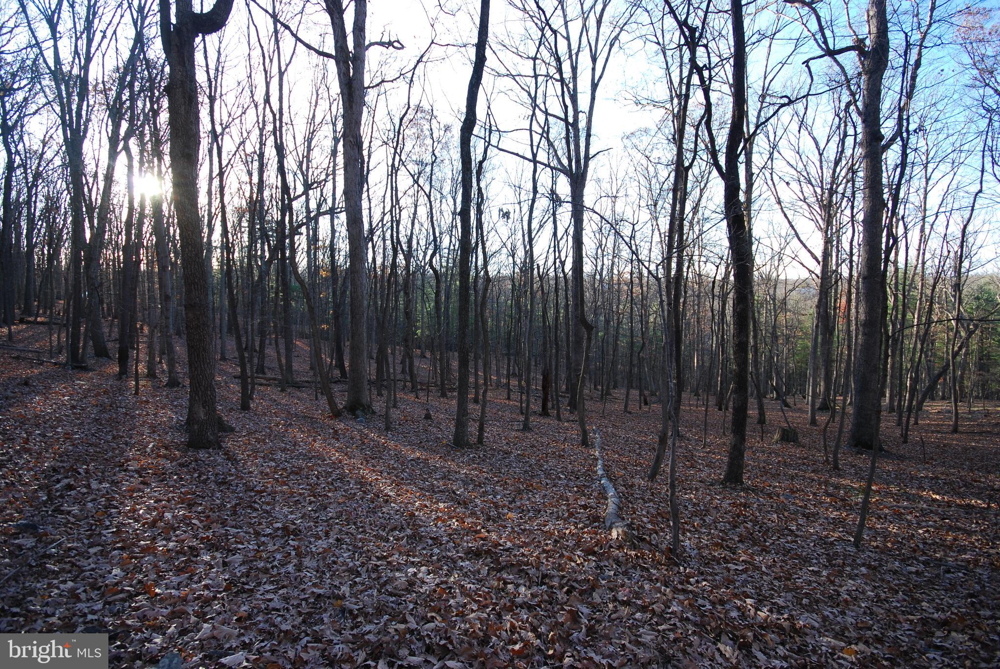 Lot 67 Mill Mountain Road Romney, WV 26757 - Photo 31 of 40