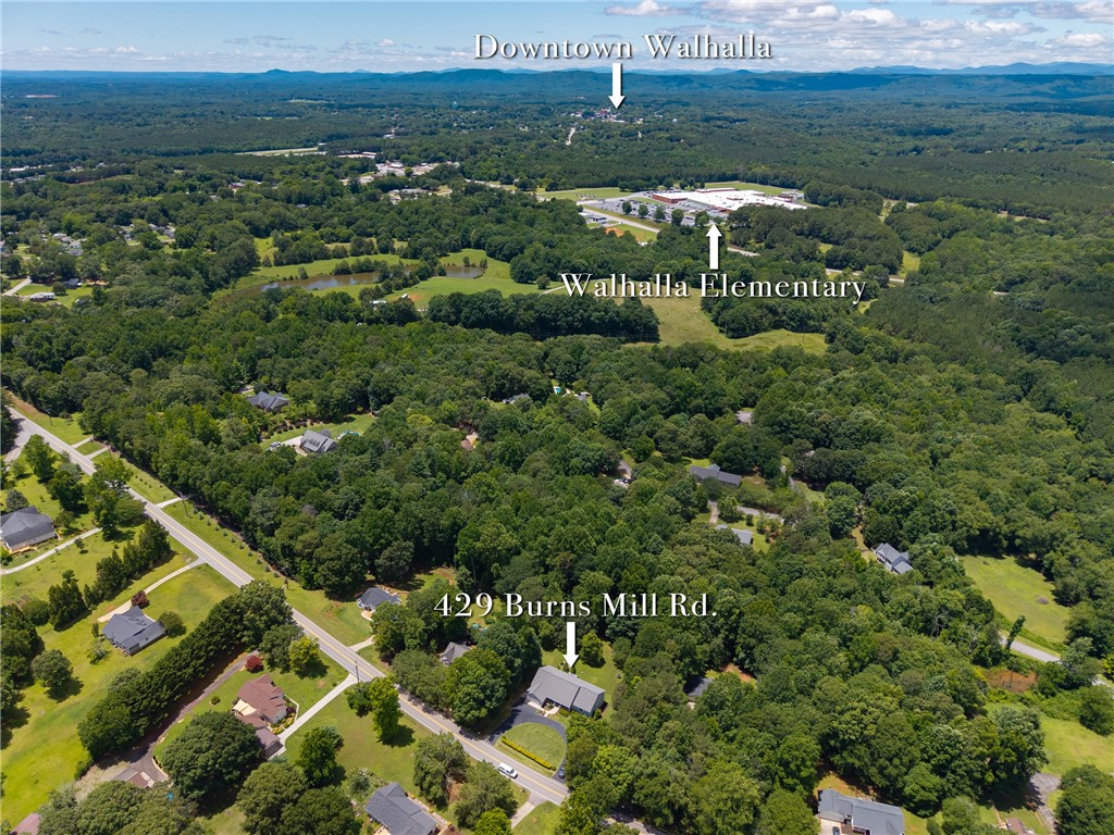 429 Burns Mill Road West Union, SC 29696 - Photo 42 of 49 An aerial perspective reveals the property nestled amidst abundant trees and greenery, offering a serene rural setting.