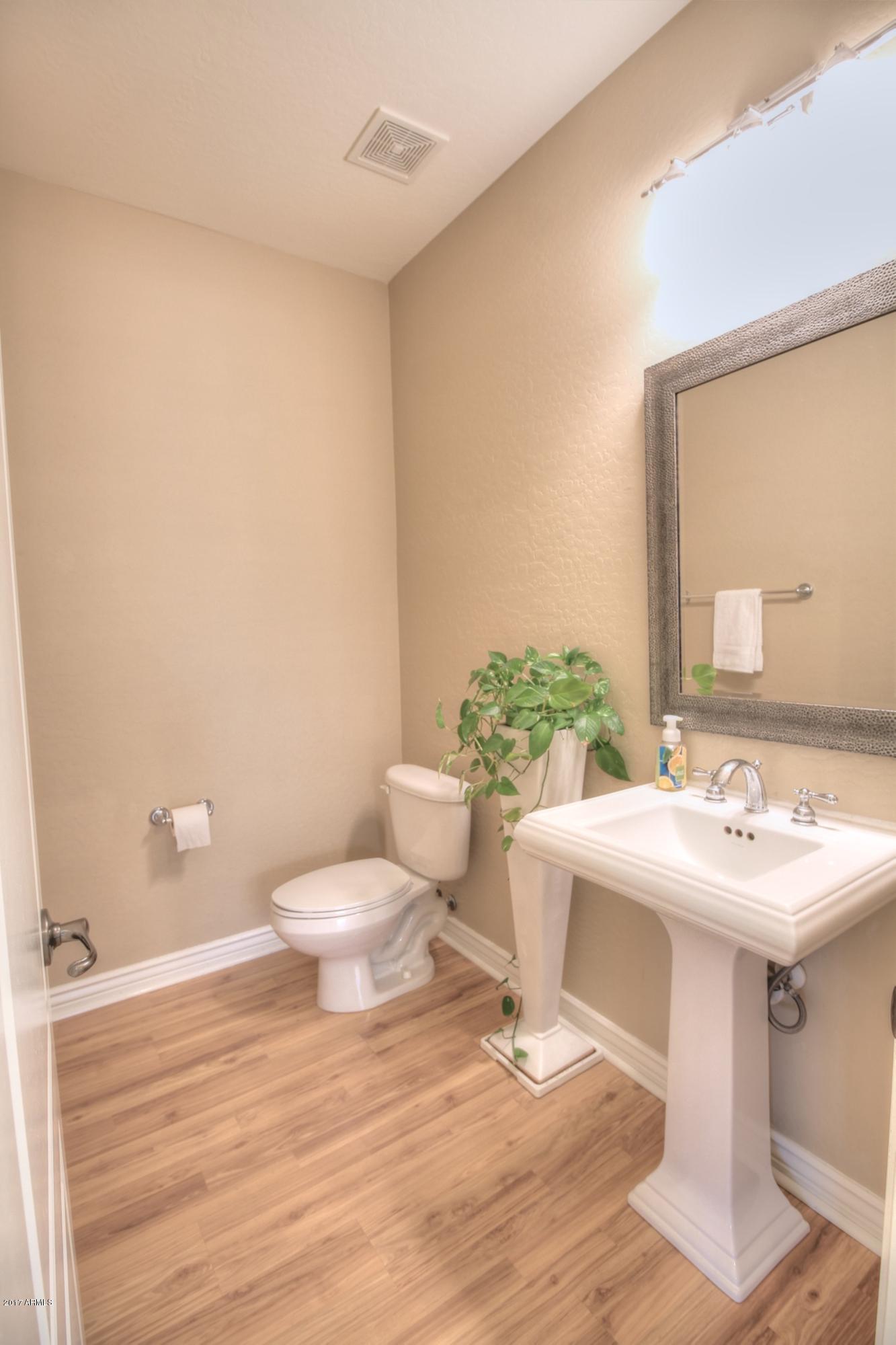 836 East Blue Ridge Way Chandler, AZ 85249 - Photo 11 of 64 downstairs bathroom