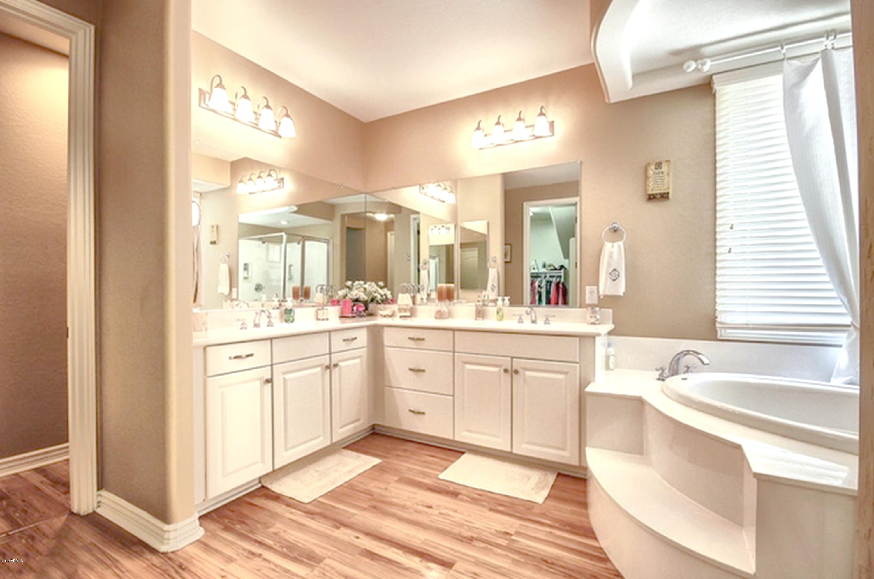 836 East Blue Ridge Way Chandler, AZ 85249 - Photo 21 of 64 downstairs master bathroom