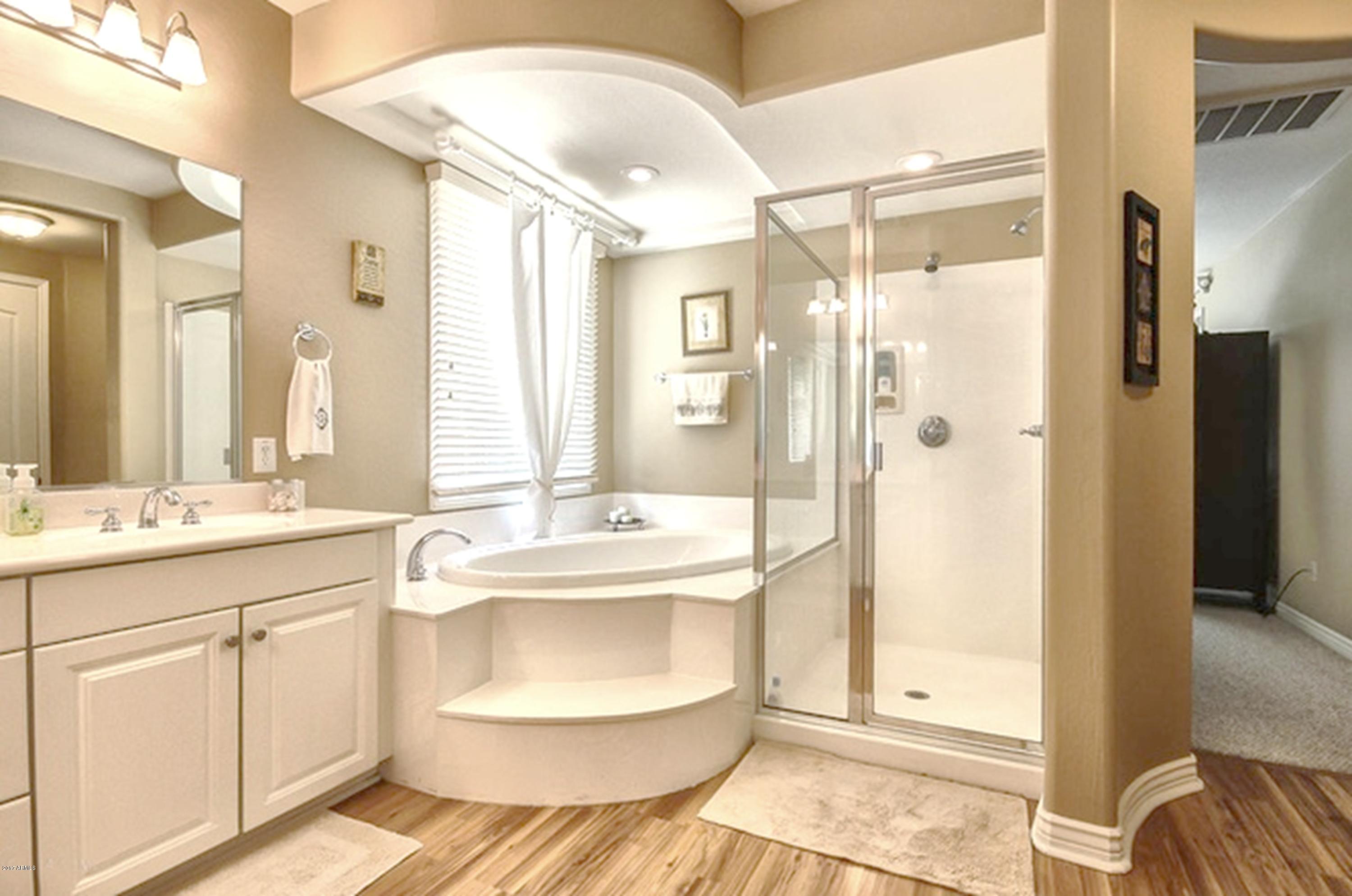 836 East Blue Ridge Way Chandler, AZ 85249 - Photo 22 of 64 downstairs master bathroom2