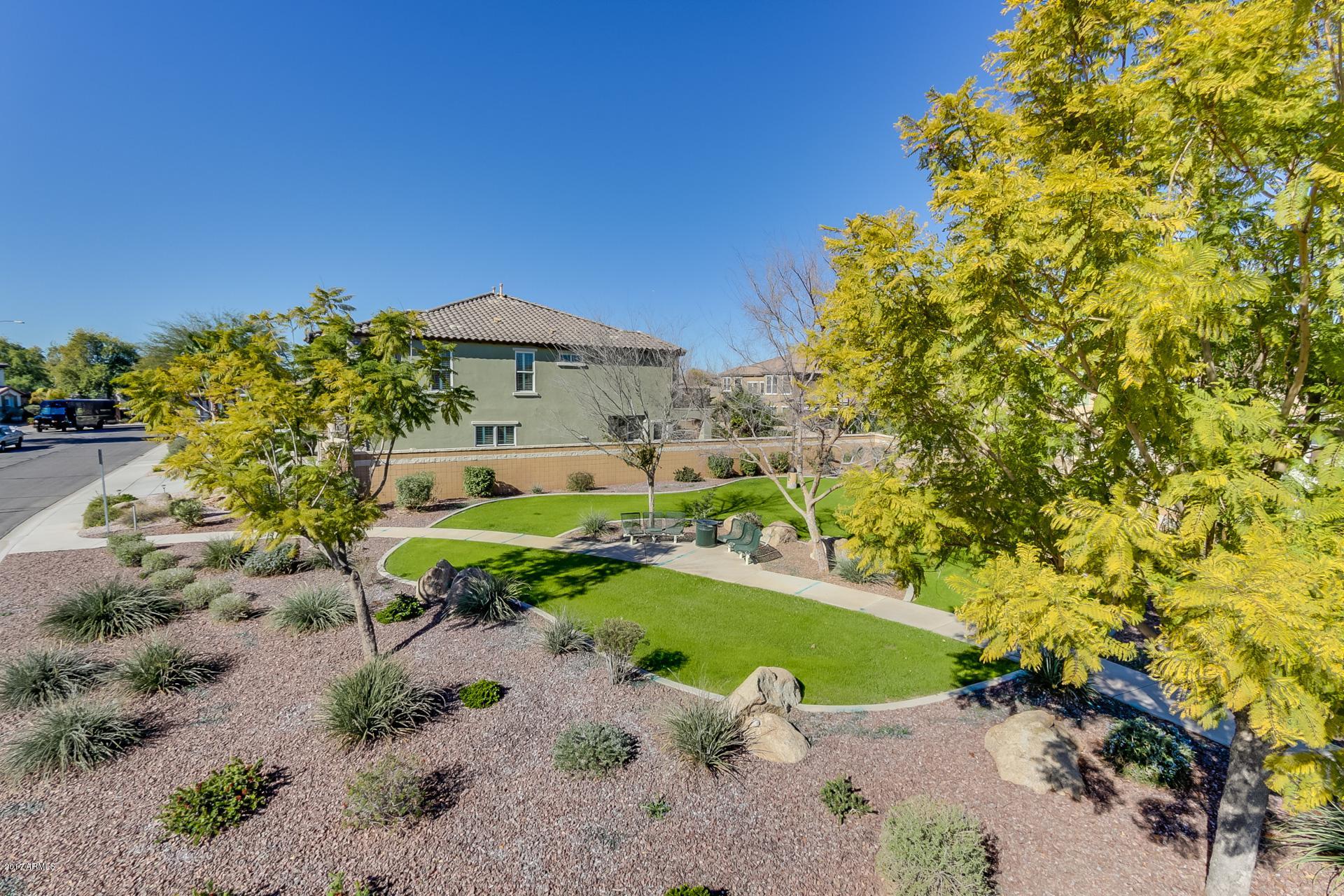 836 East Blue Ridge Way Chandler, AZ 85249 - Photo 47 of 64 side yard2