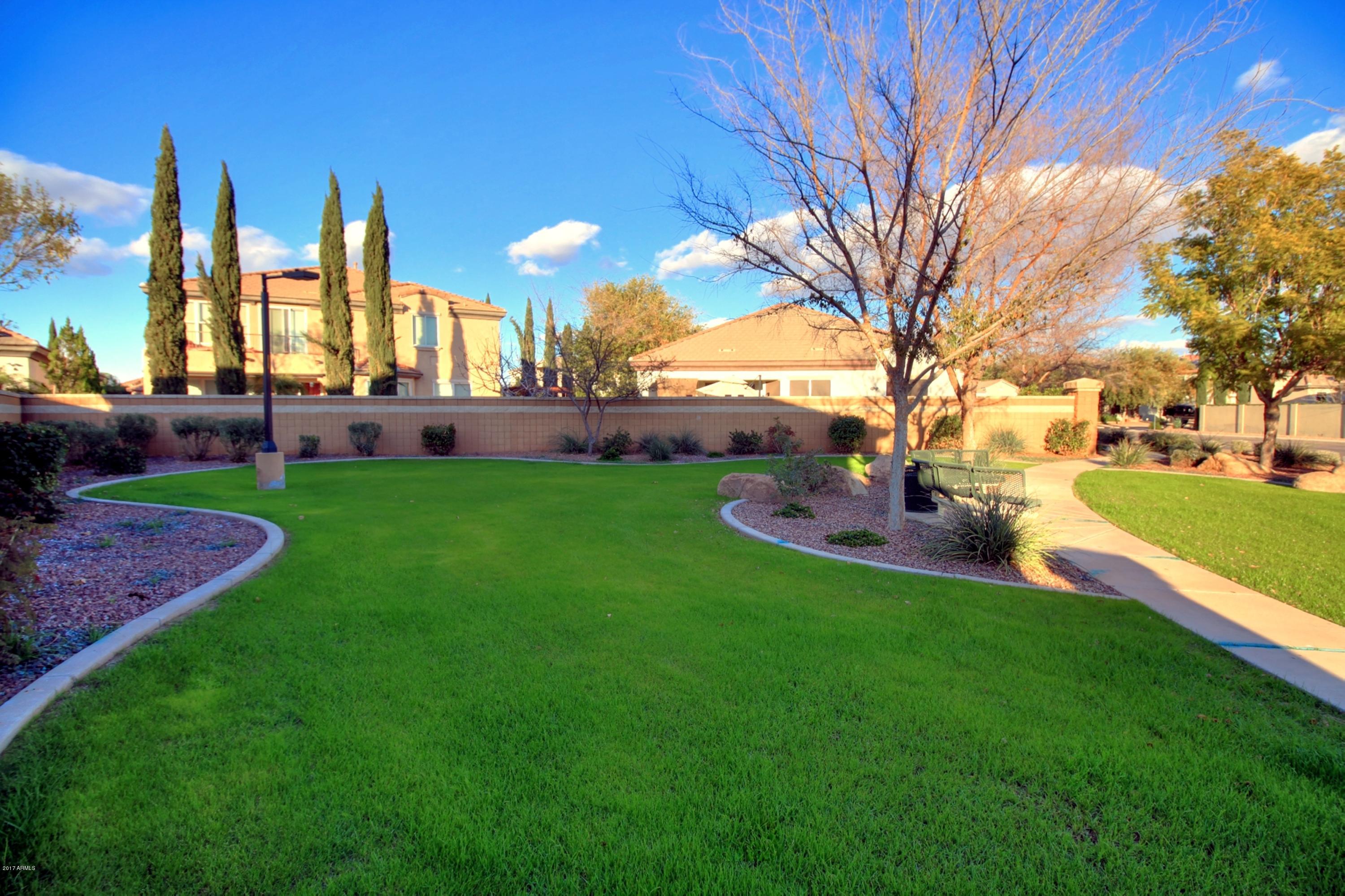 836 East Blue Ridge Way Chandler, AZ 85249 - Photo 48 of 64 side yard3