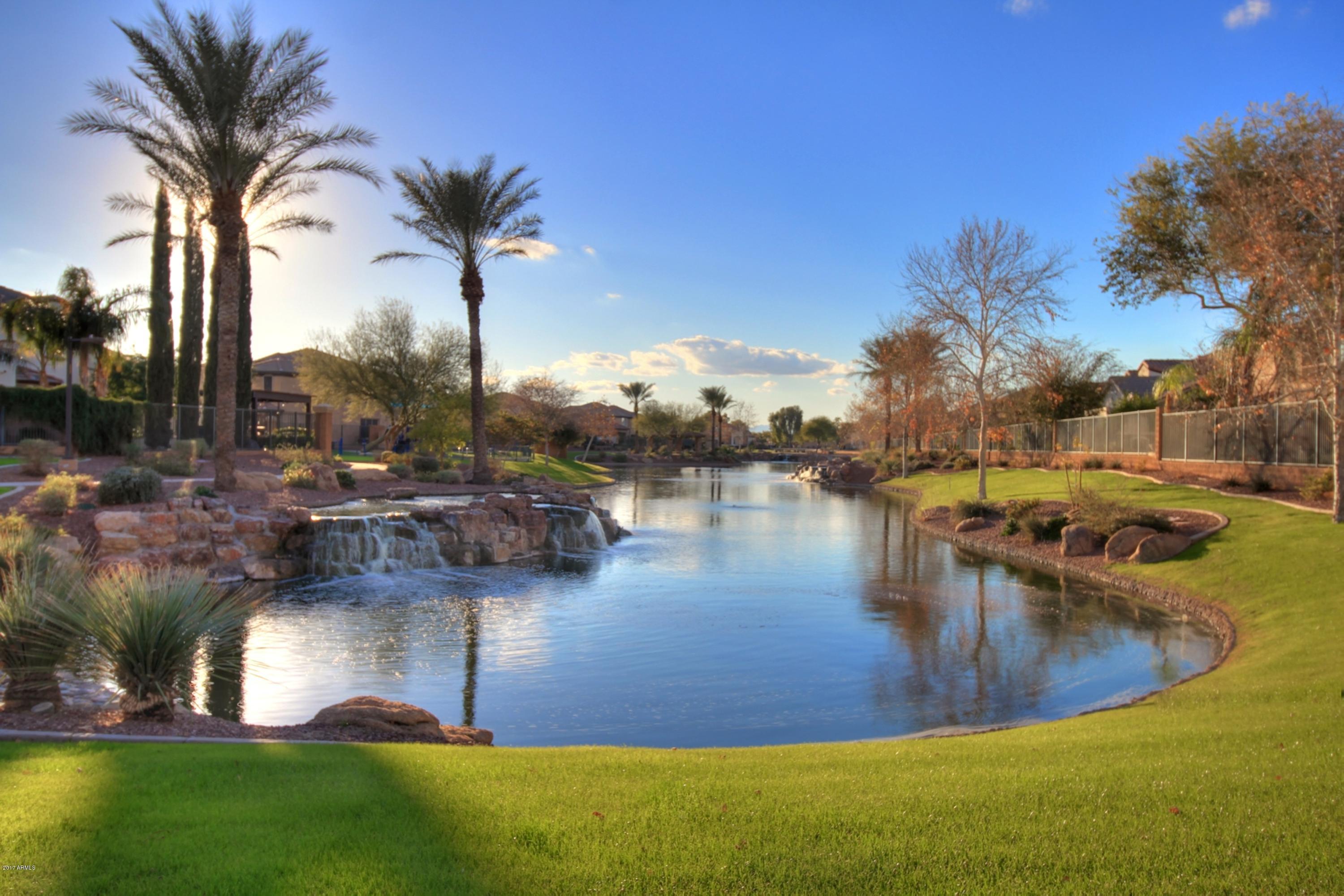 836 East Blue Ridge Way Chandler, AZ 85249 - Photo 54 of 64 community lake