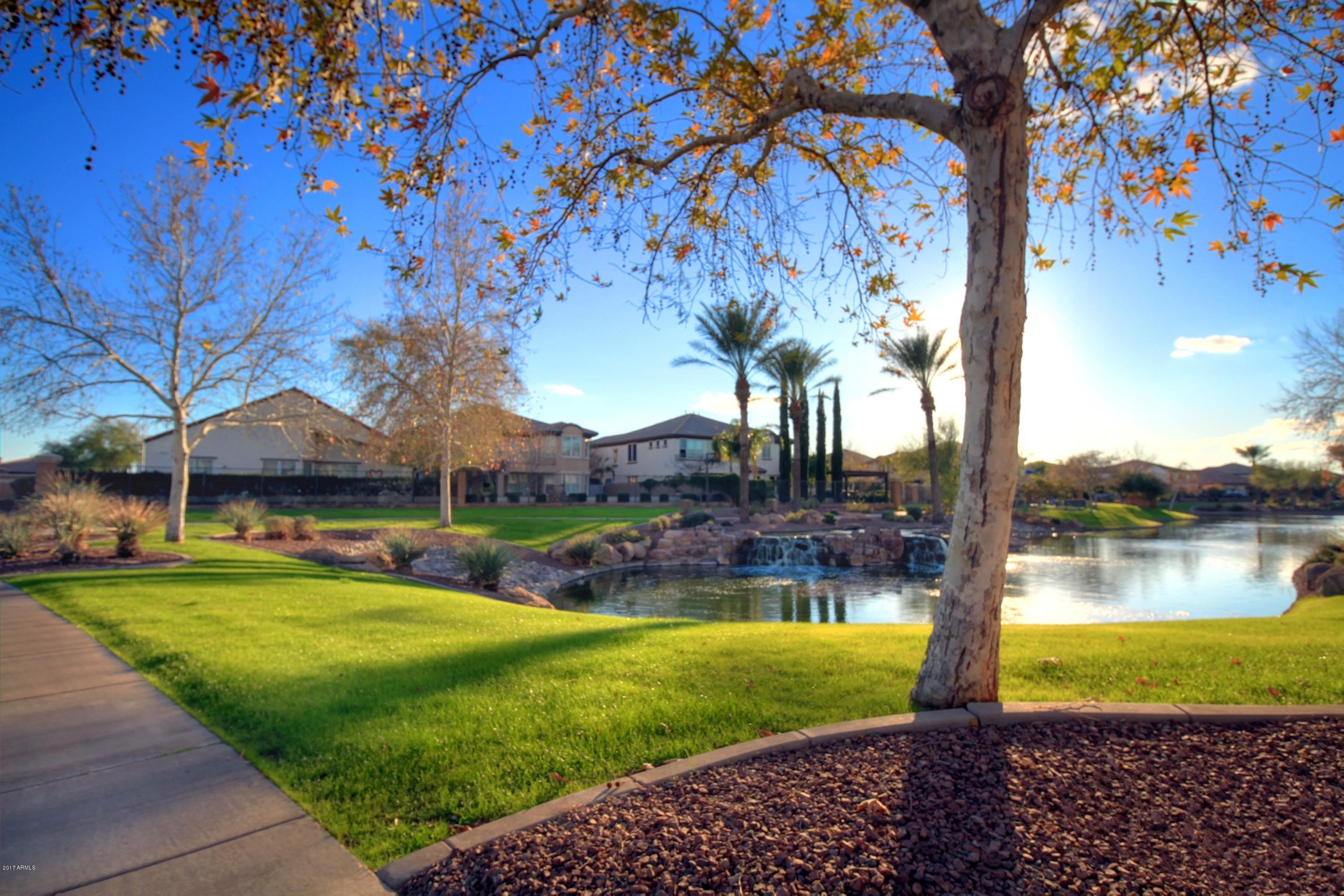 836 East Blue Ridge Way Chandler, AZ 85249 - Photo 55 of 64 community lake2