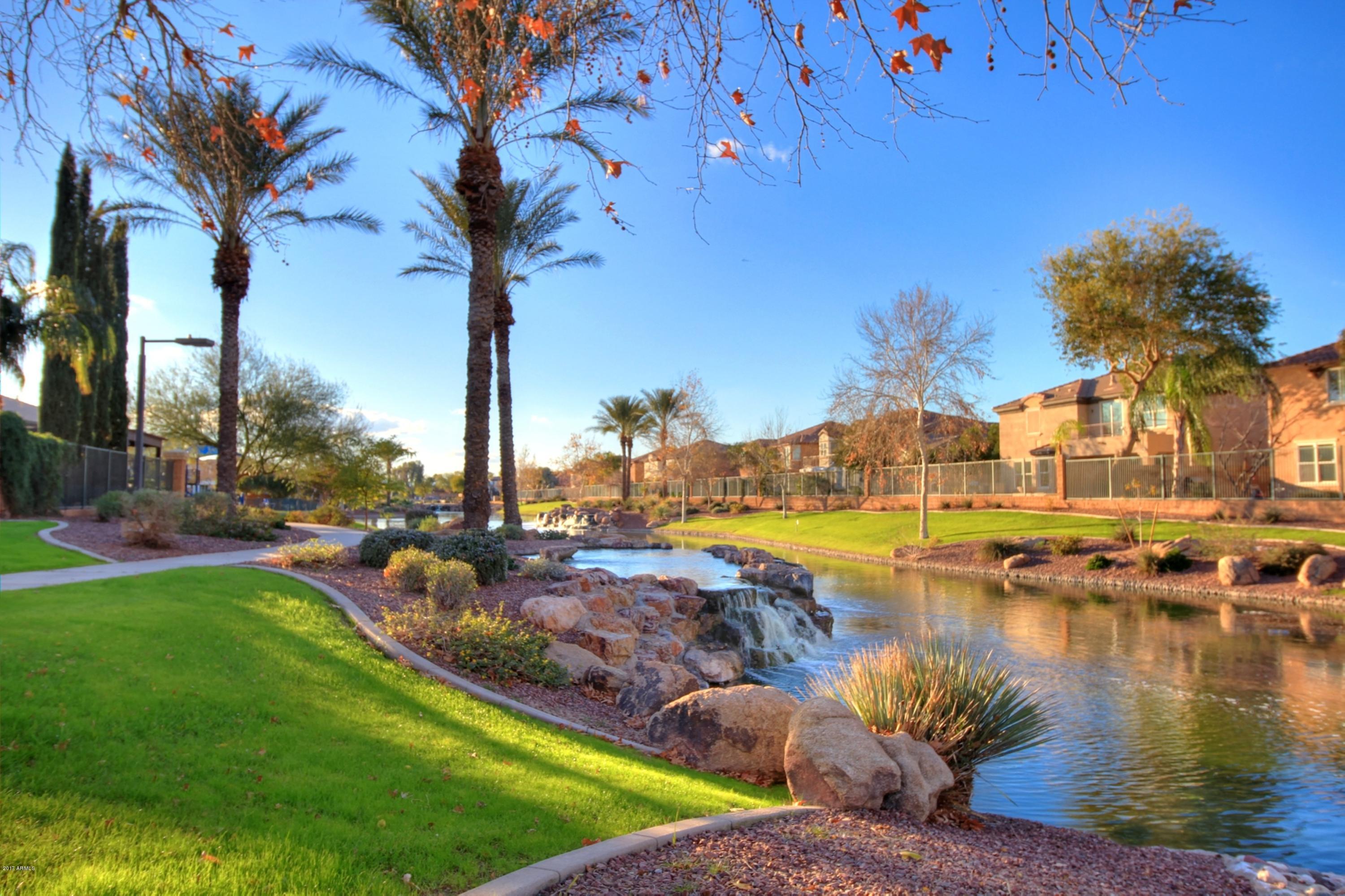836 East Blue Ridge Way Chandler, AZ 85249 - Photo 56 of 64 community lake3