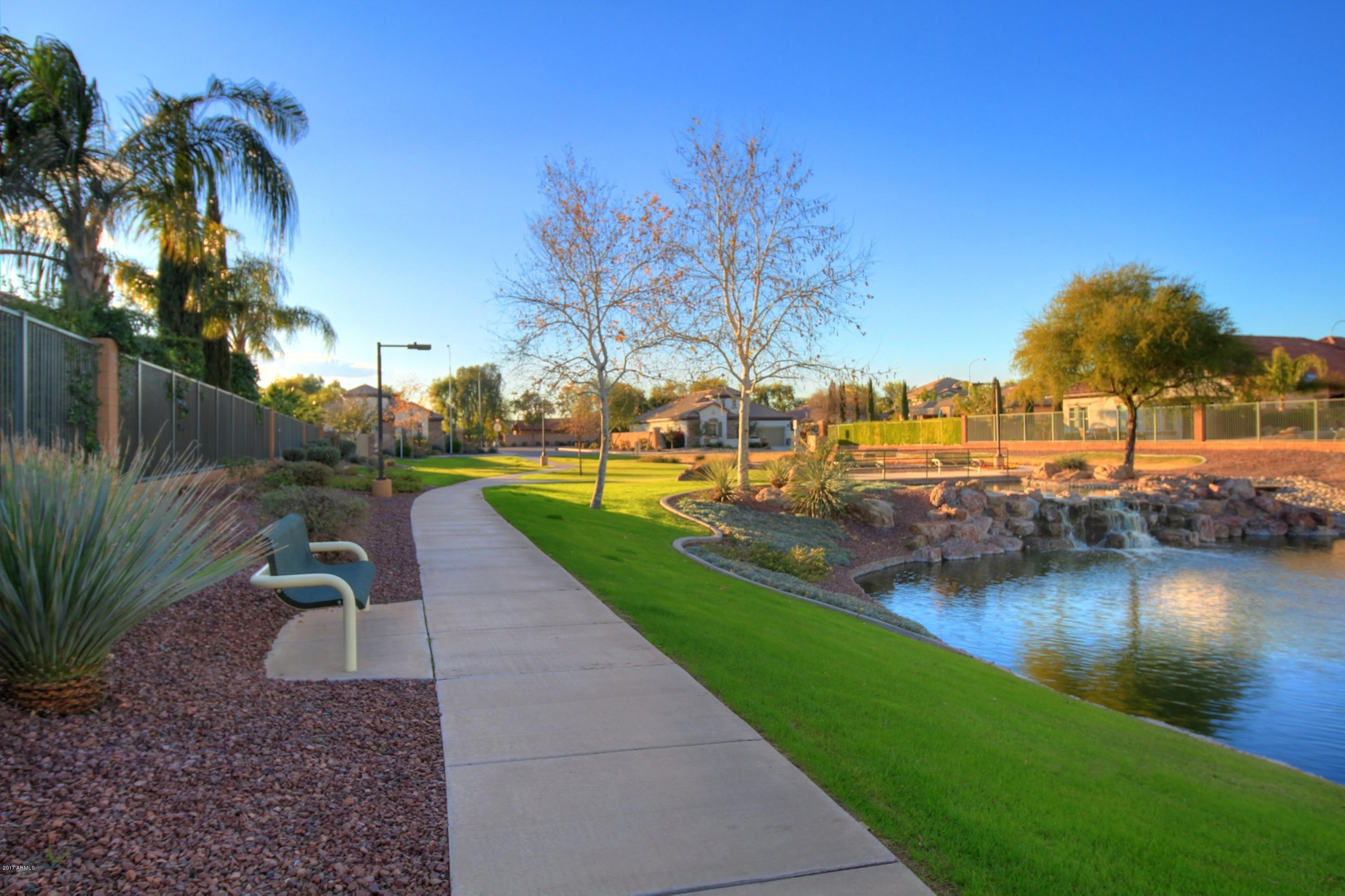 836 East Blue Ridge Way Chandler, AZ 85249 - Photo 57 of 64 community lake4