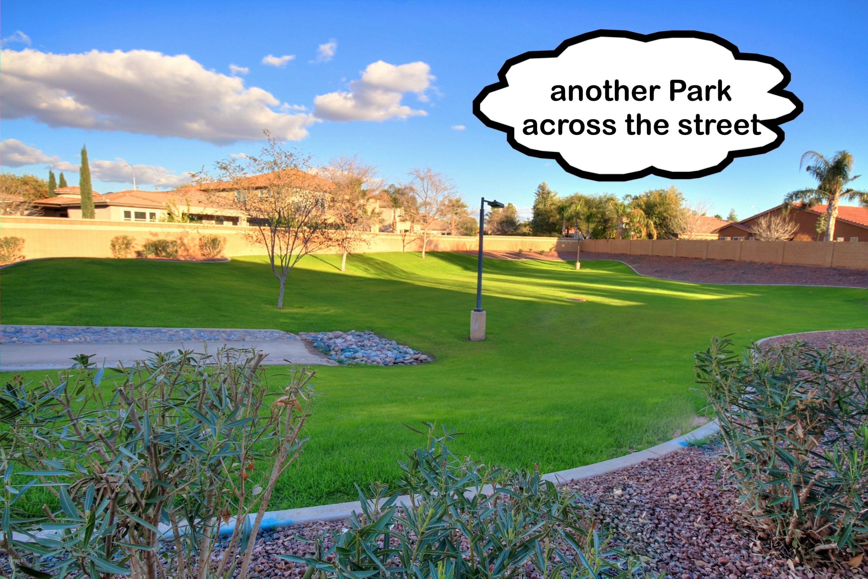 836 East Blue Ridge Way Chandler, AZ 85249 - Photo 58 of 64 community park