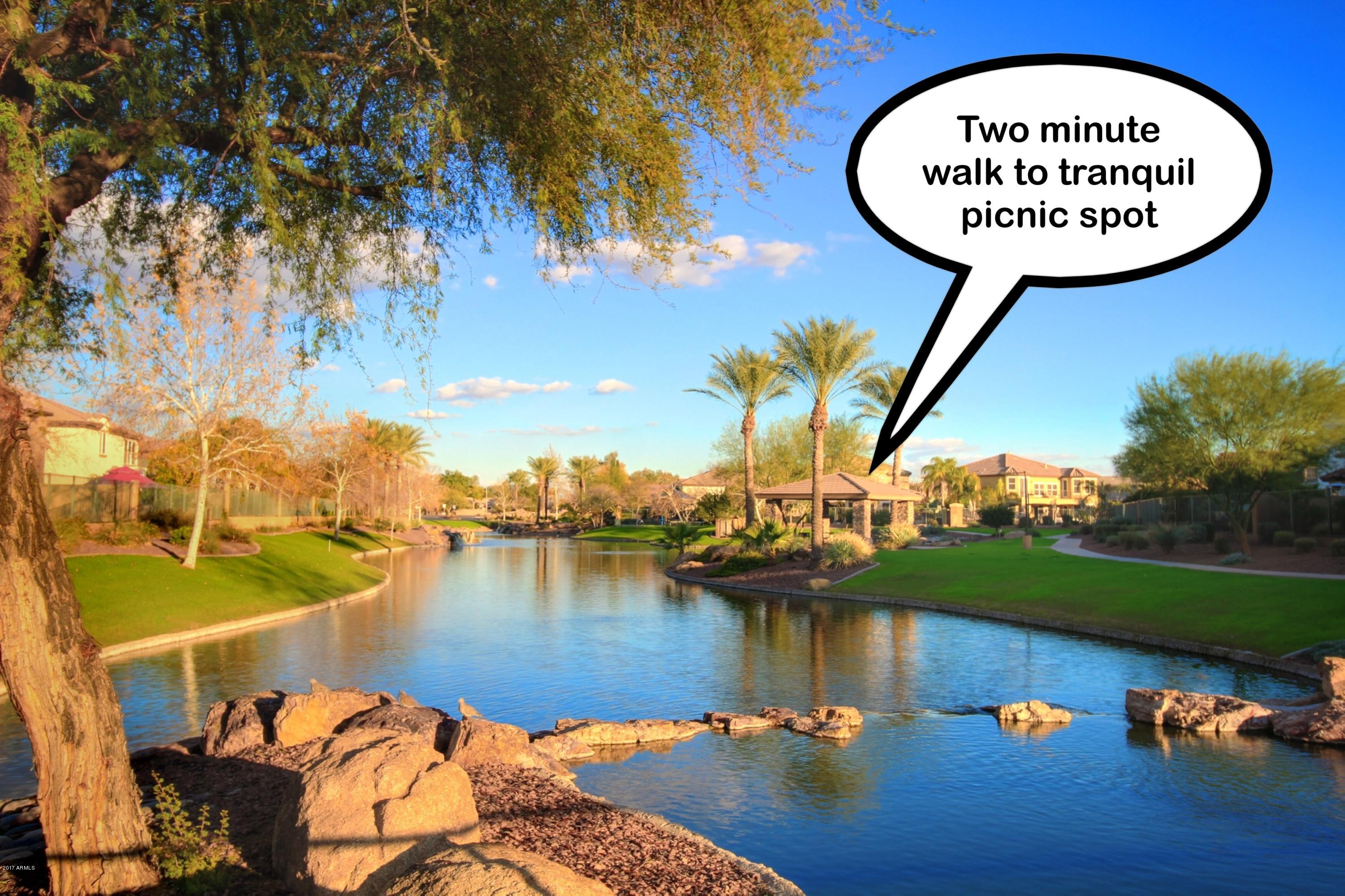 836 East Blue Ridge Way Chandler, AZ 85249 - Photo 59 of 64 community picnic area