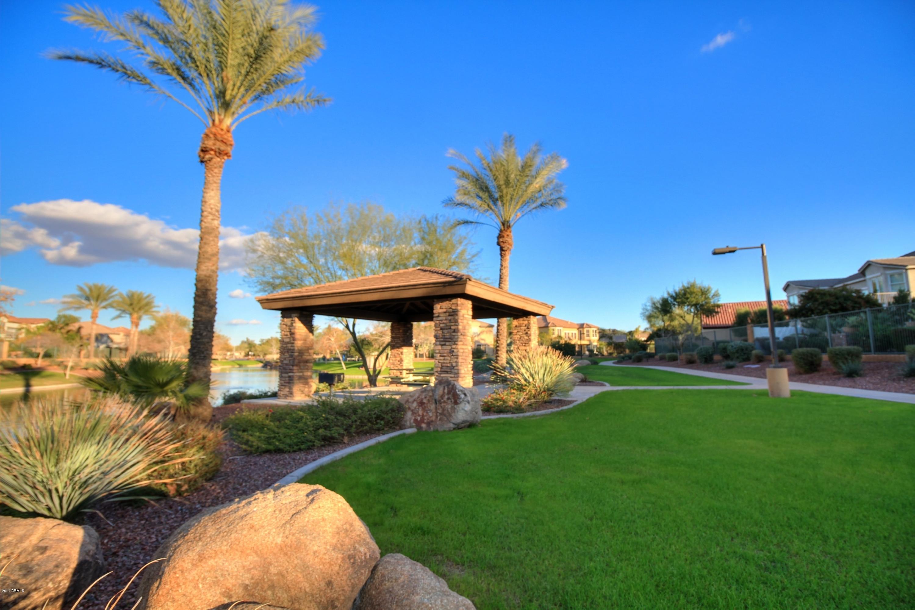 836 East Blue Ridge Way Chandler, AZ 85249 - Photo 60 of 64 community picnic area2