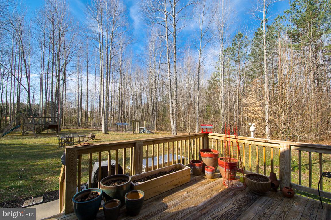 1885 Wickham Road Bumpass, VA 23024 - Photo 30 of 30 New french doors to the deck
