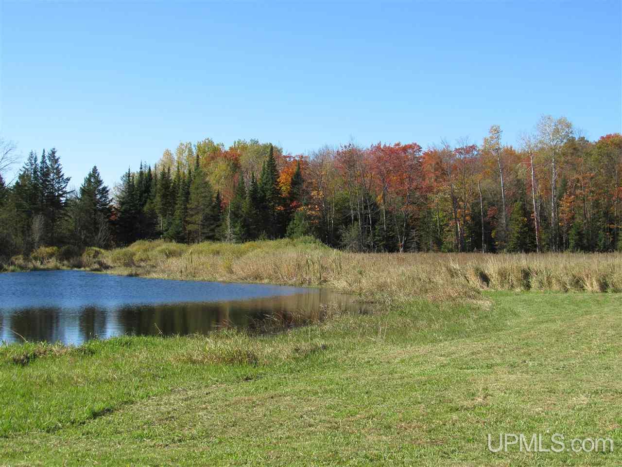5226 Co Road Rock, MI 49880 - Photo 6 of 34