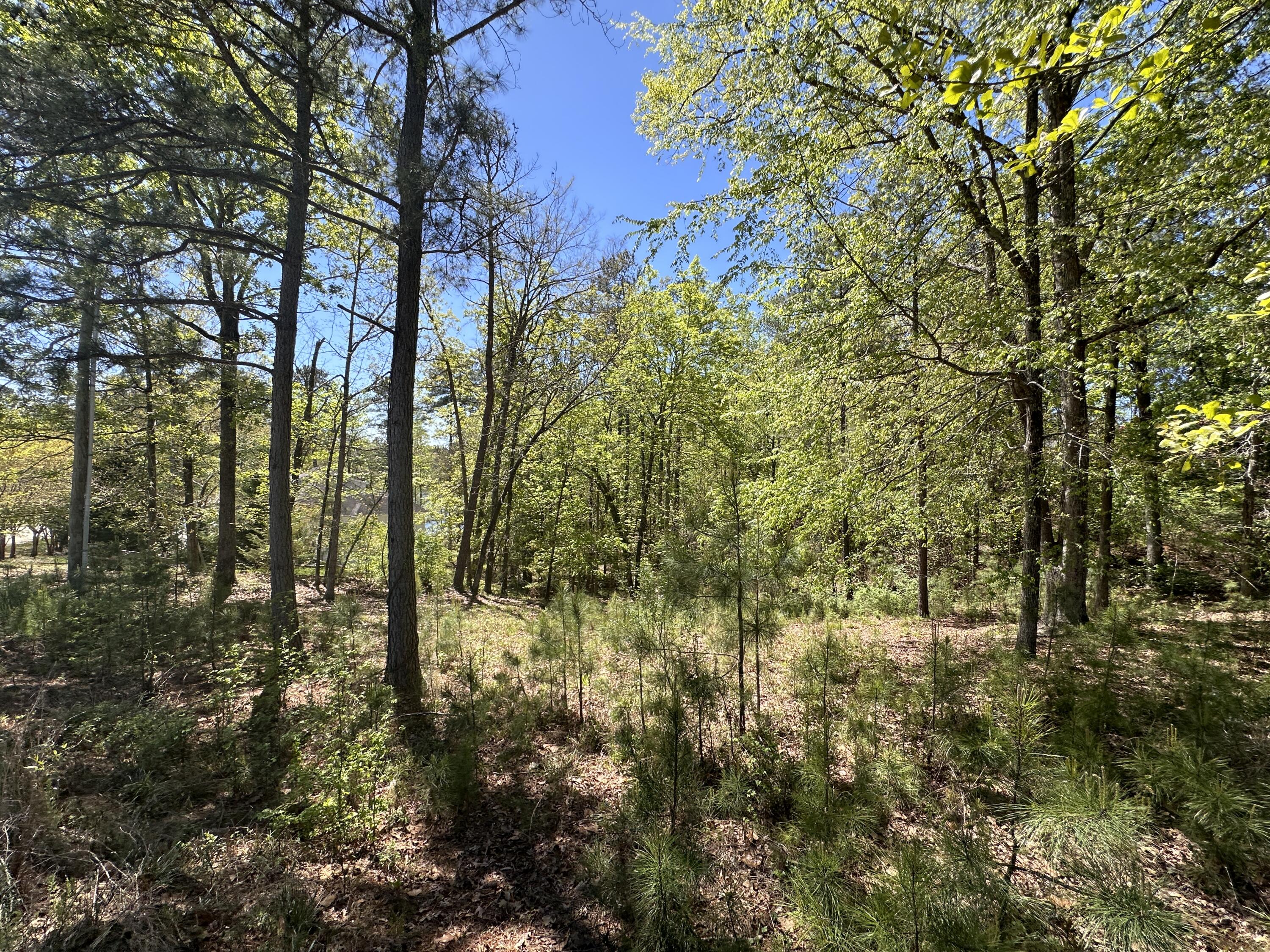 180 State Rd S-33-298 Modoc, SC 29838 - Photo 1 of 29 IMG_7563