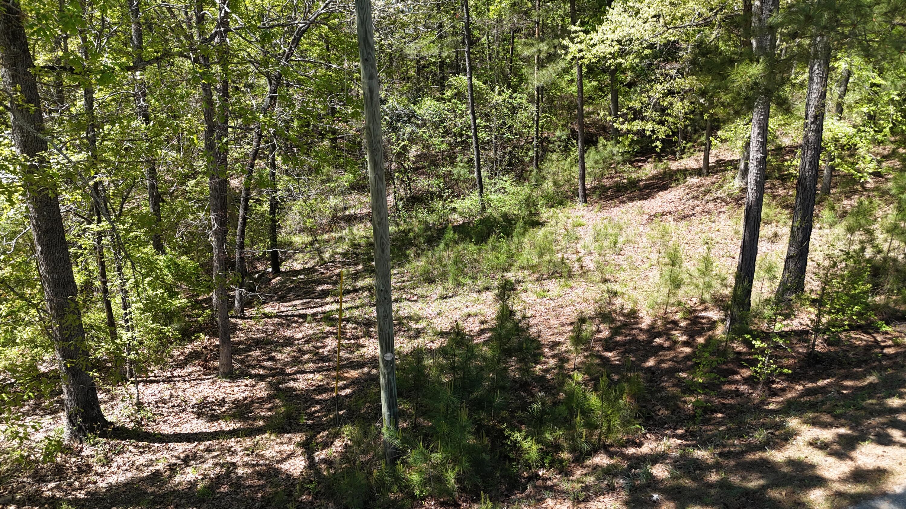 180 State Rd S-33-298 Modoc, SC 29838 - Photo 24 of 29 DJI_20240405131707_0028_D