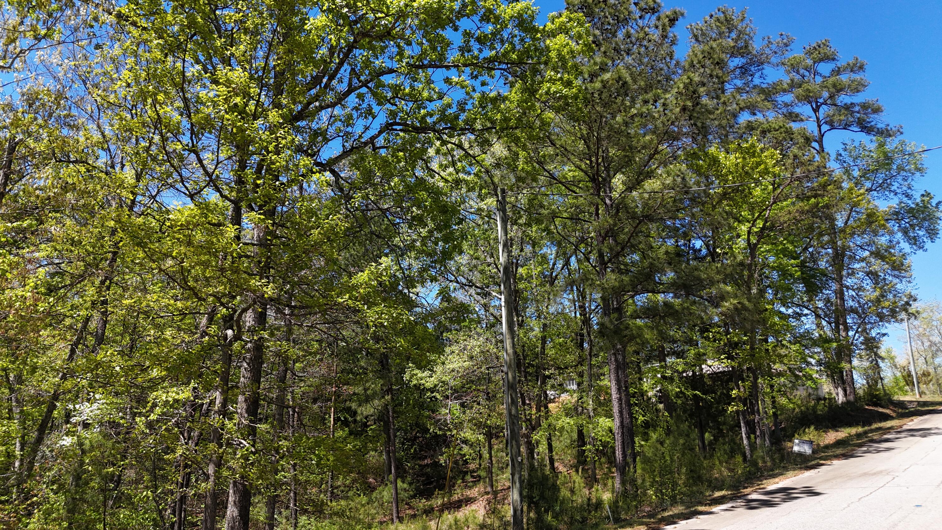 180 State Rd S-33-298 Modoc, SC 29838 - Photo 25 of 29 DJI_20240405131729_0029_D
