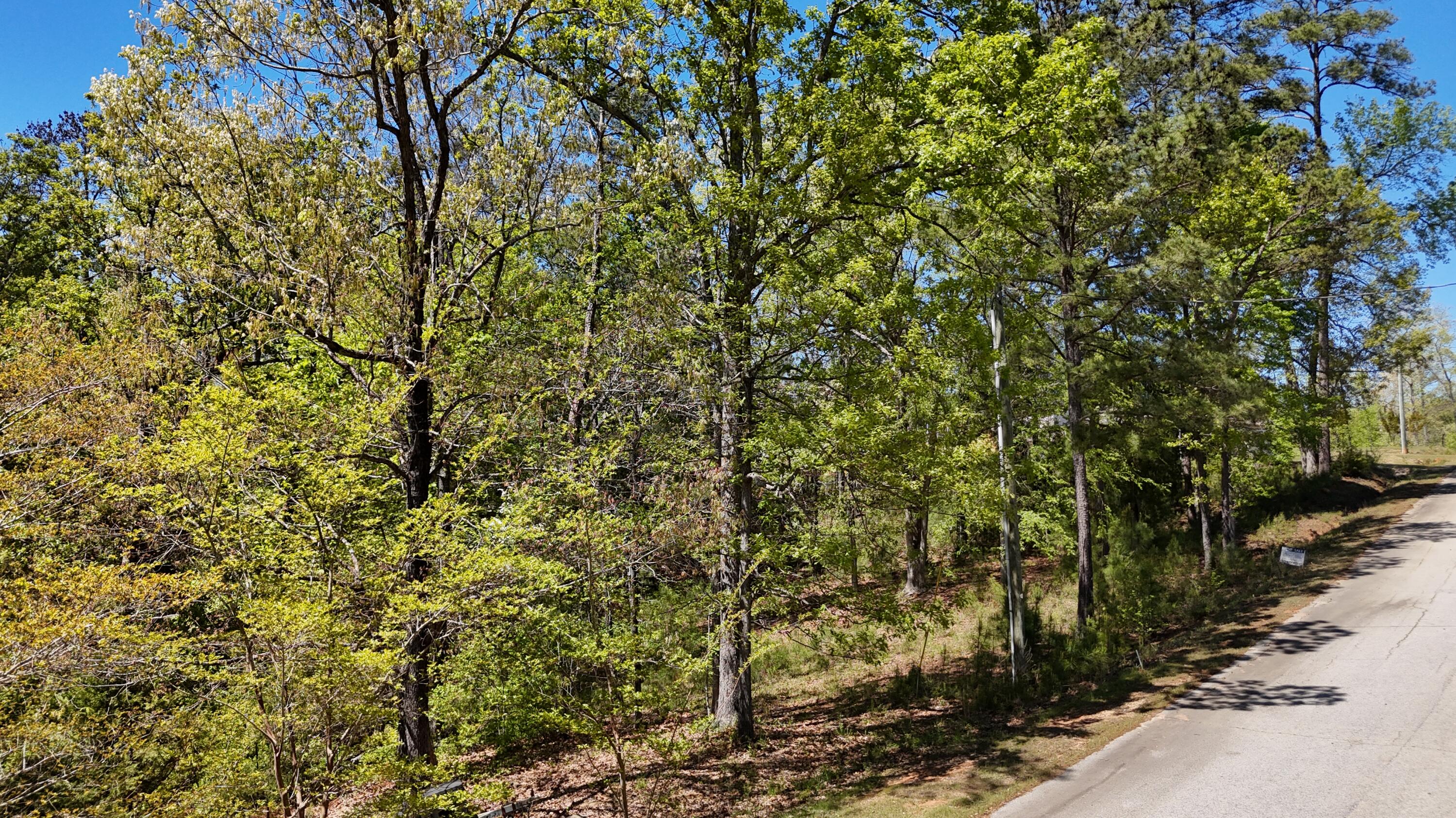 180 State Rd S-33-298 Modoc, SC 29838 - Photo 26 of 29 DJI_20240405131804_0030_D