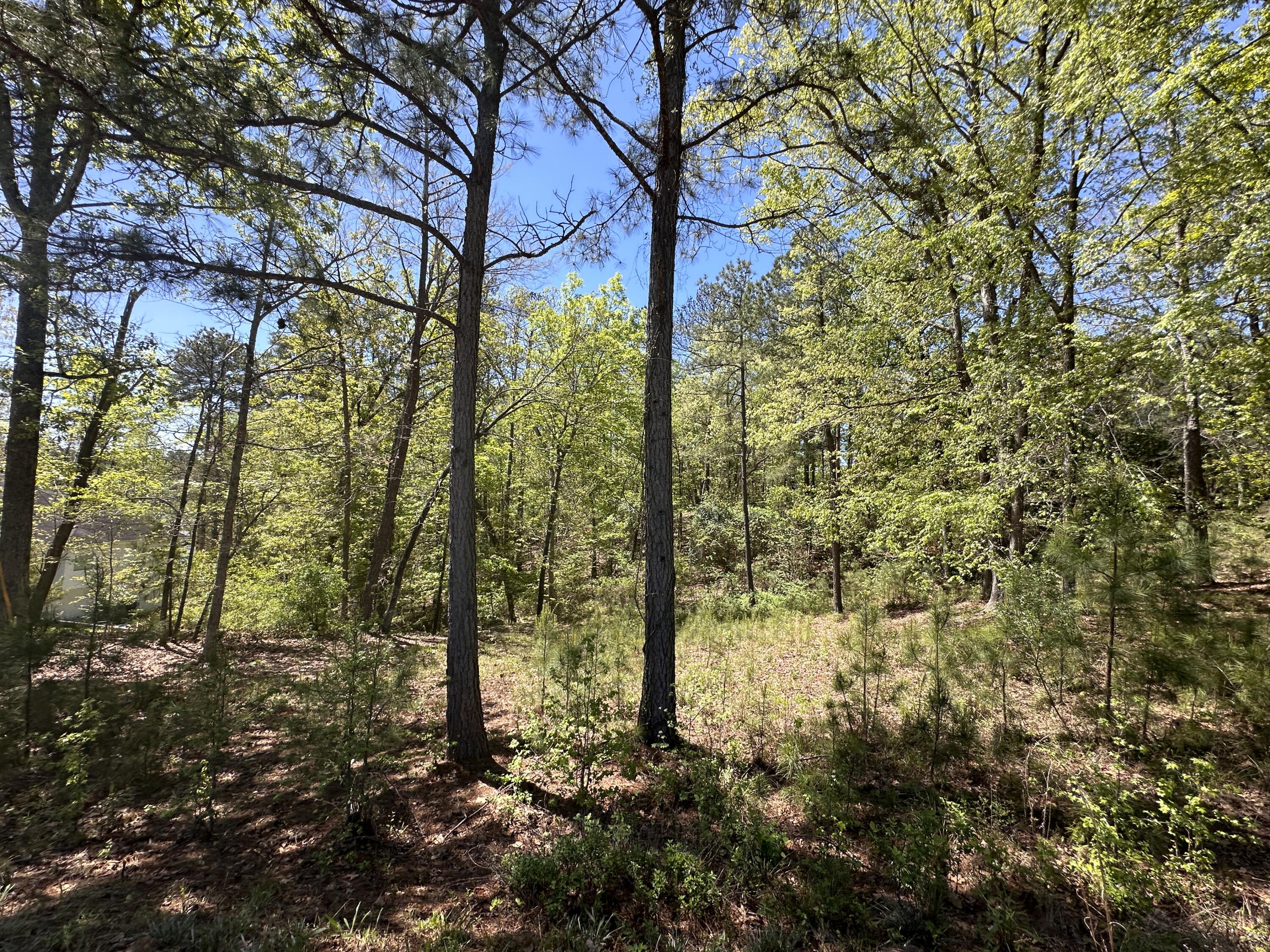 180 State Rd S-33-298 Modoc, SC 29838 - Photo 3 of 29 IMG_7564