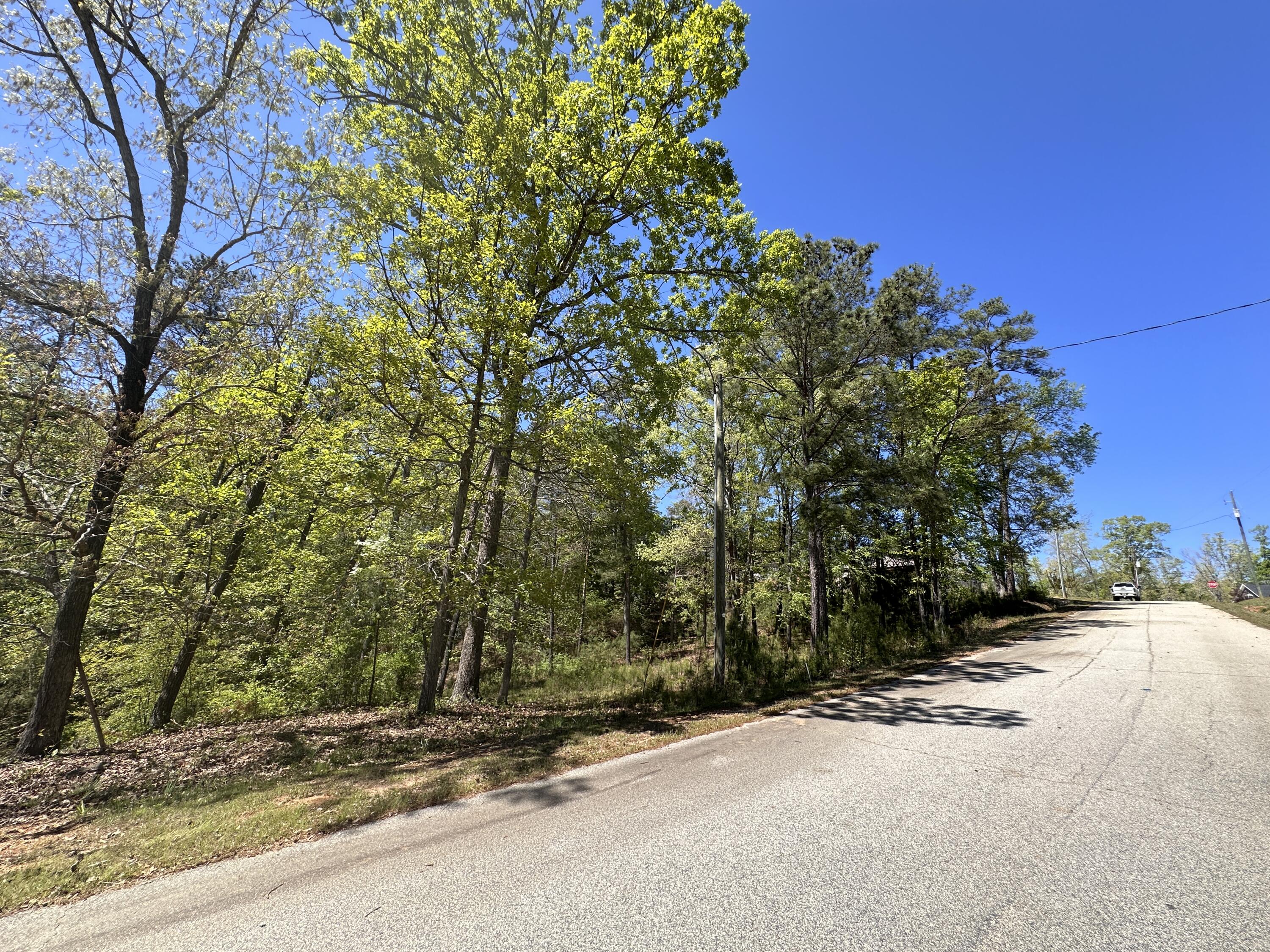 180 State Rd S-33-298 Modoc, SC 29838 - Photo 5 of 29 IMG_7566