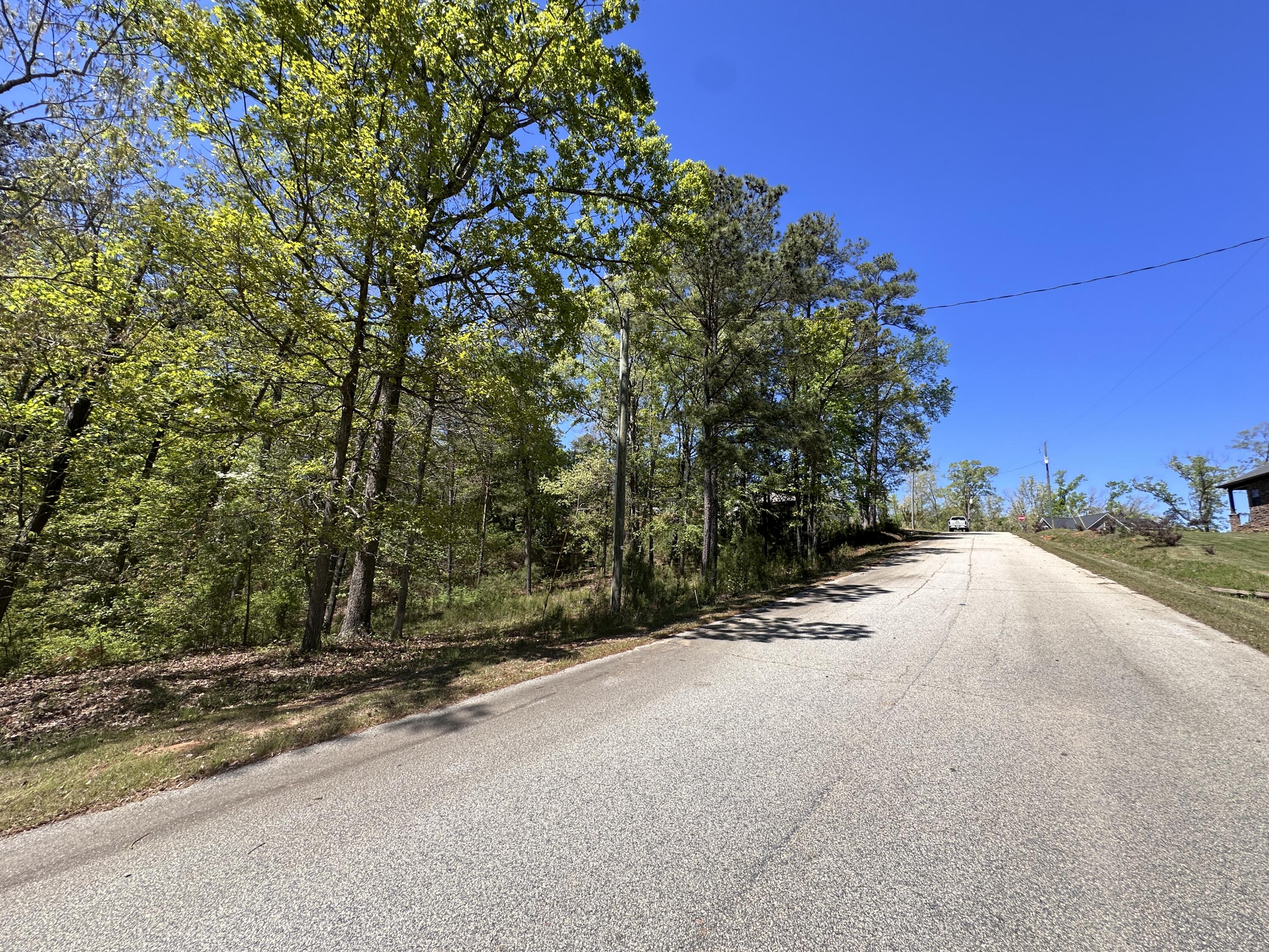 180 State Rd S-33-298 Modoc, SC 29838 - Photo 6 of 29 IMG_7567