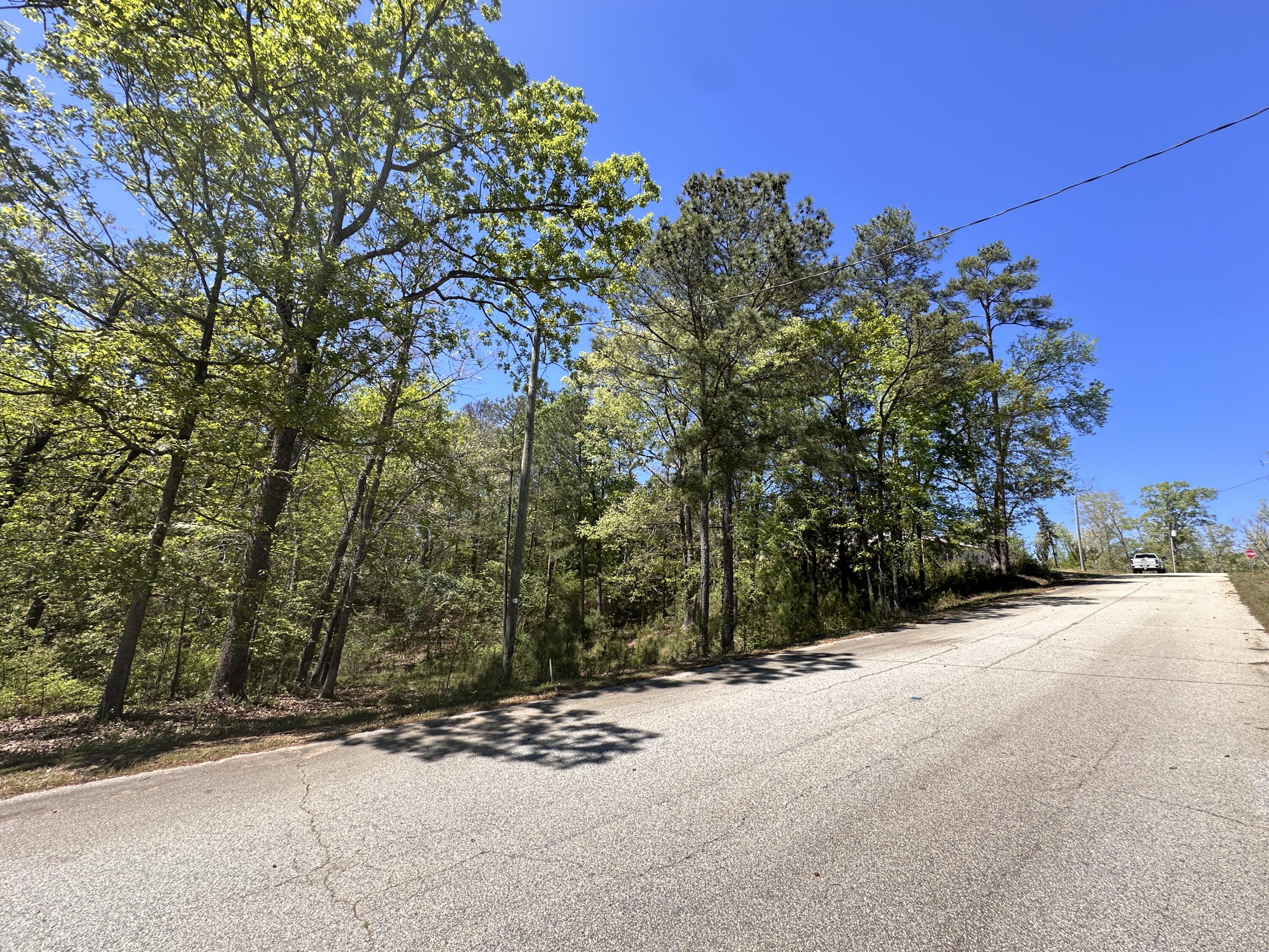 180 State Rd S-33-298 Modoc, SC 29838 - Photo 7 of 29 IMG_7568