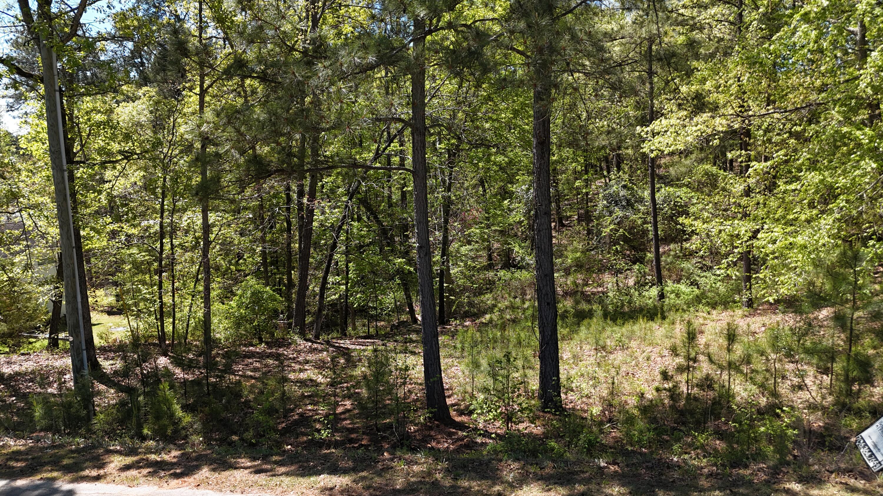 180 State Rd S-33-298 Modoc, SC 29838 - Photo 10 of 29 DJI_20240405131834_0031_D