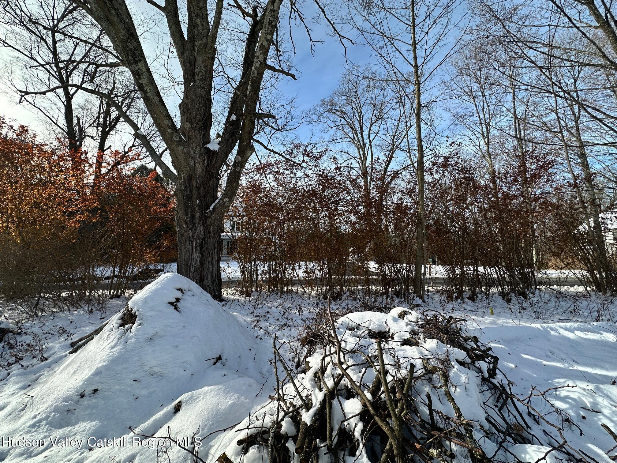 29 Reservoir Road Shokan, NY 12481 - Photo 3 of 7 a view of outdoor space with a house