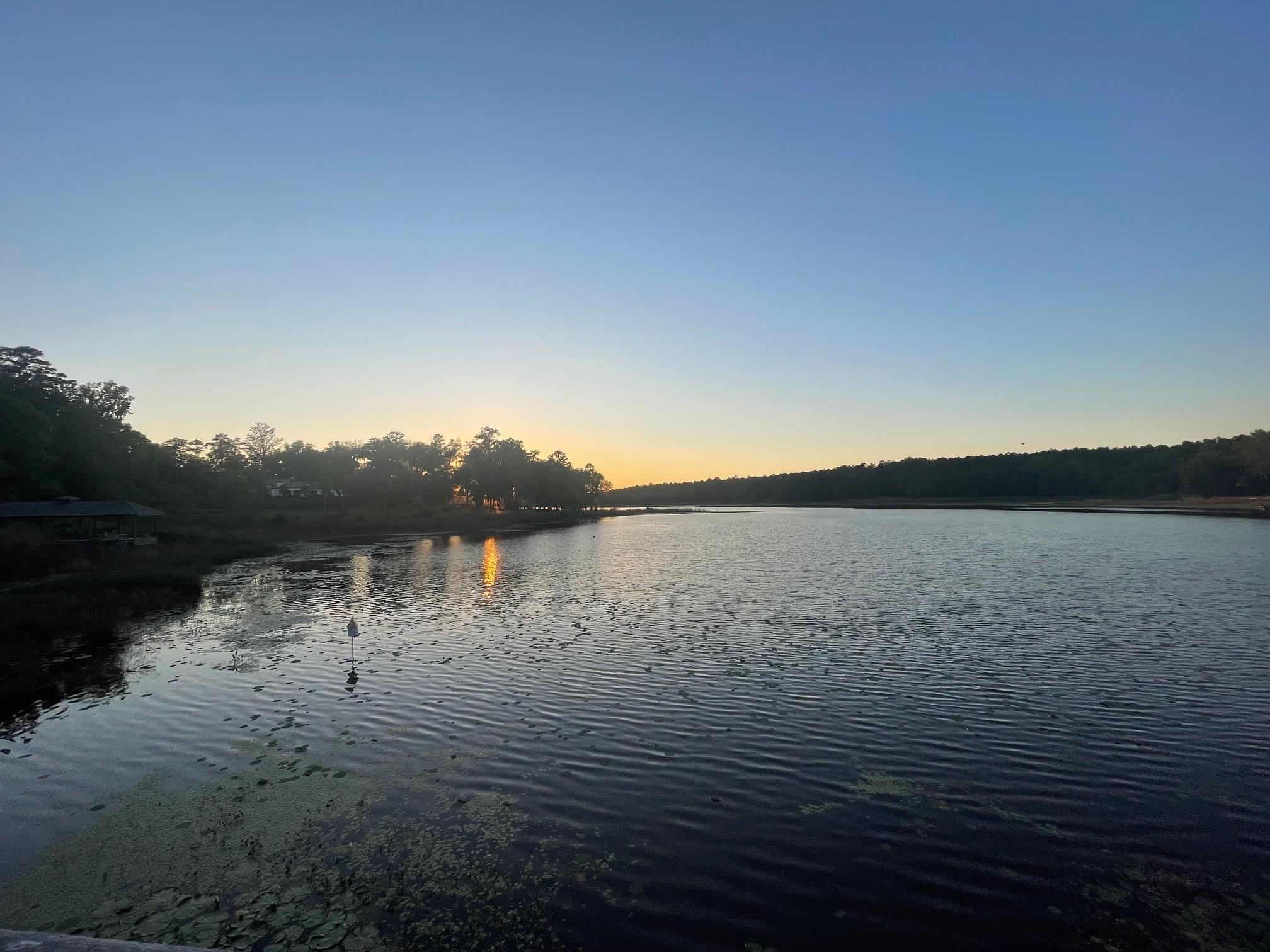 2192 Thirlestane Road Tallahassee, FL 32309 - Photo 14 of 26