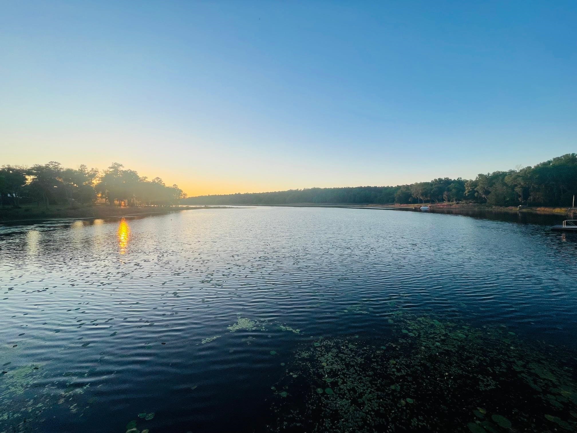 2192 Thirlestane Road Tallahassee, FL 32309 - Photo 15 of 26