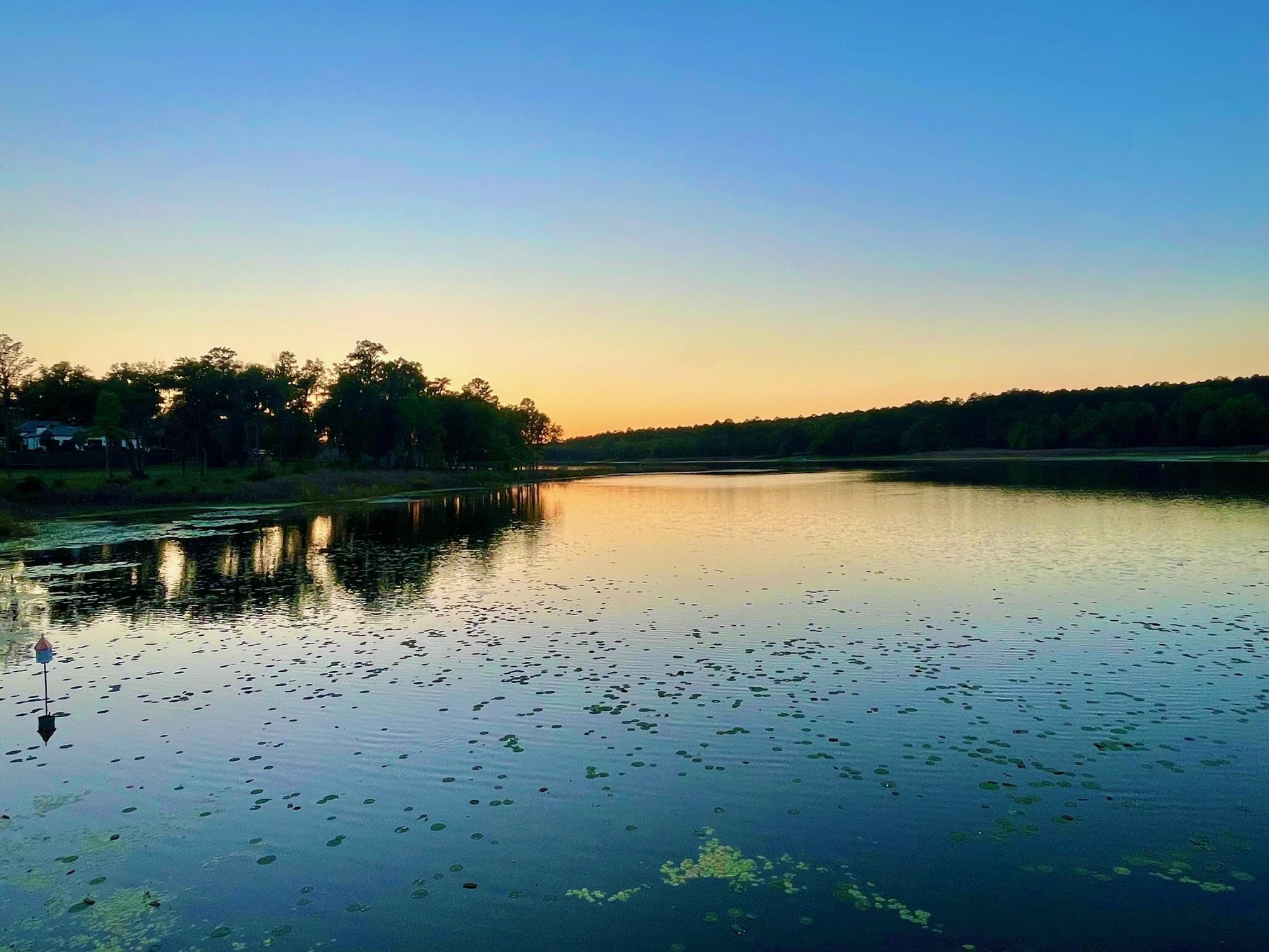 2192 Thirlestane Road Tallahassee, FL 32309 - Photo 17 of 26