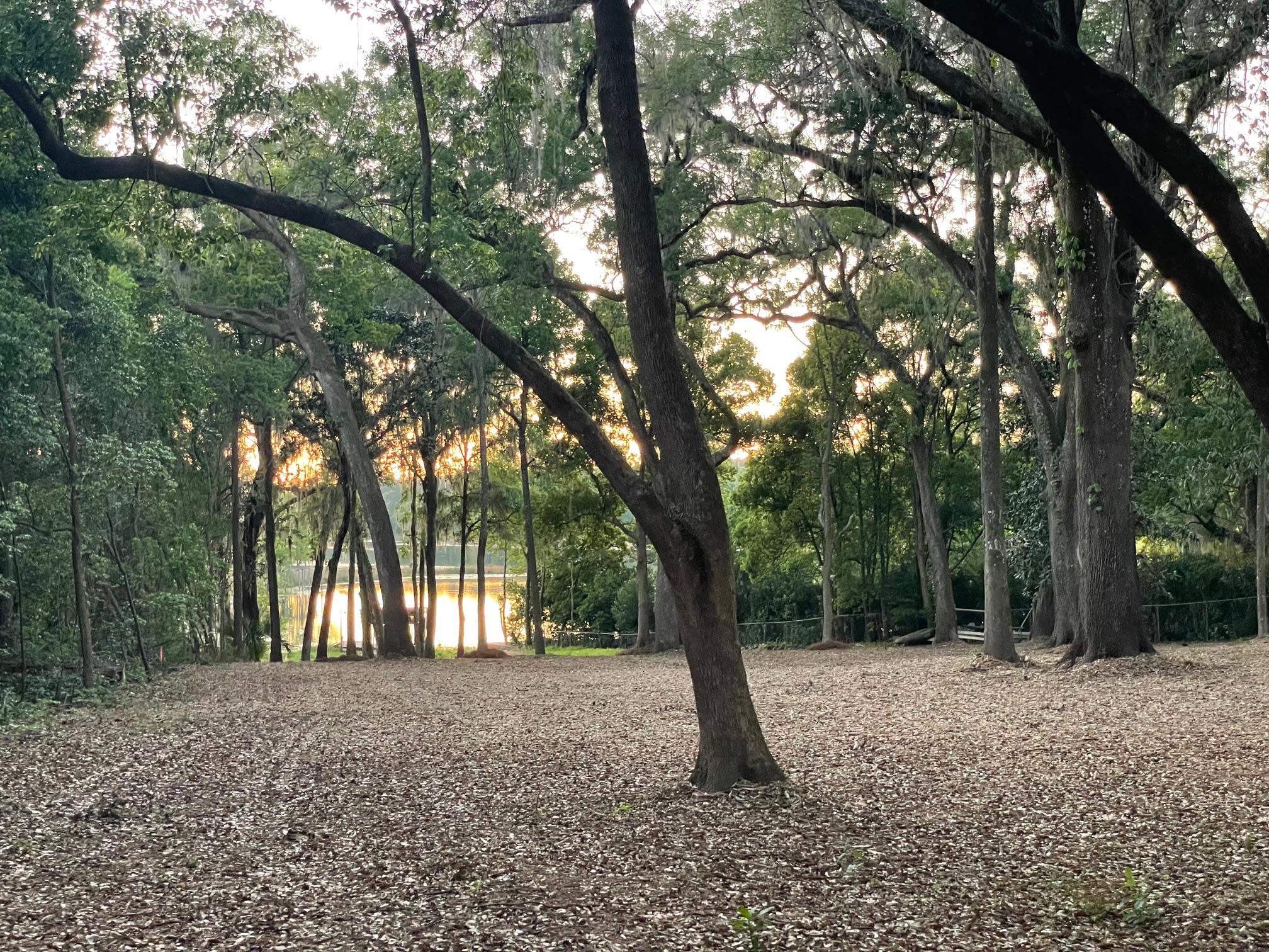 2192 Thirlestane Road Tallahassee, FL 32309 - Photo 18 of 26