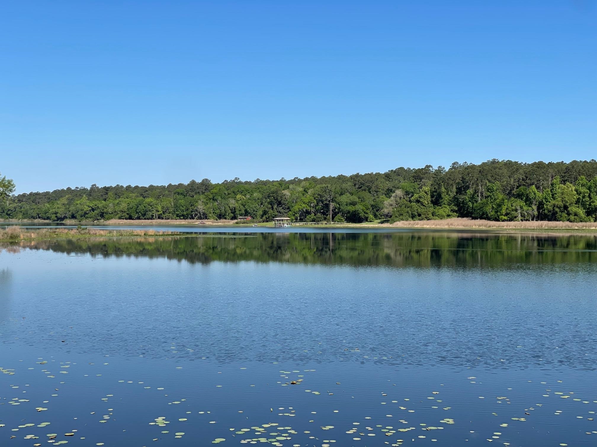 2192 Thirlestane Road Tallahassee, FL 32309 - Photo 23 of 26