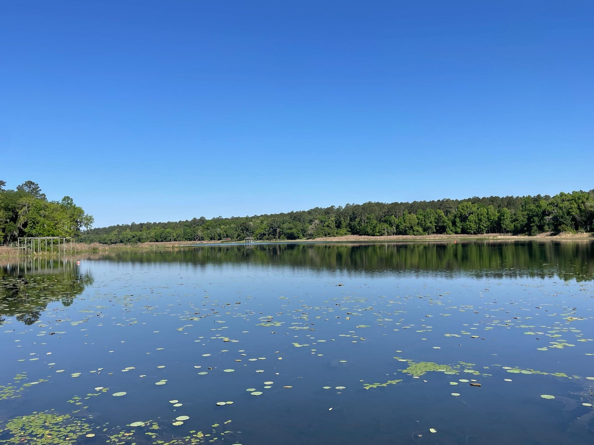2192 Thirlestane Road Tallahassee, FL 32309 - Photo 25 of 26