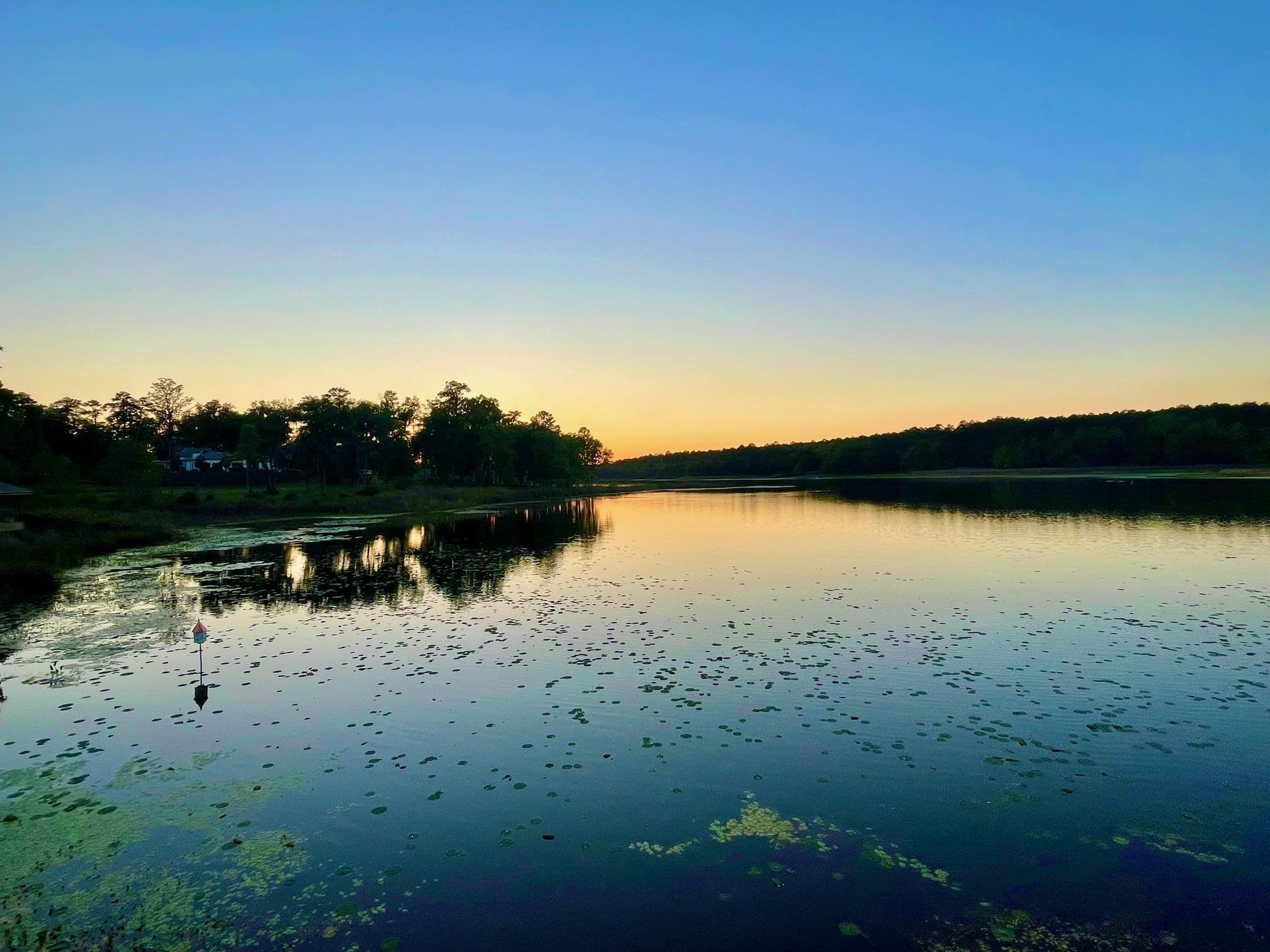 2192 Thirlestane Road Tallahassee, FL 32309 - Photo 26 of 26