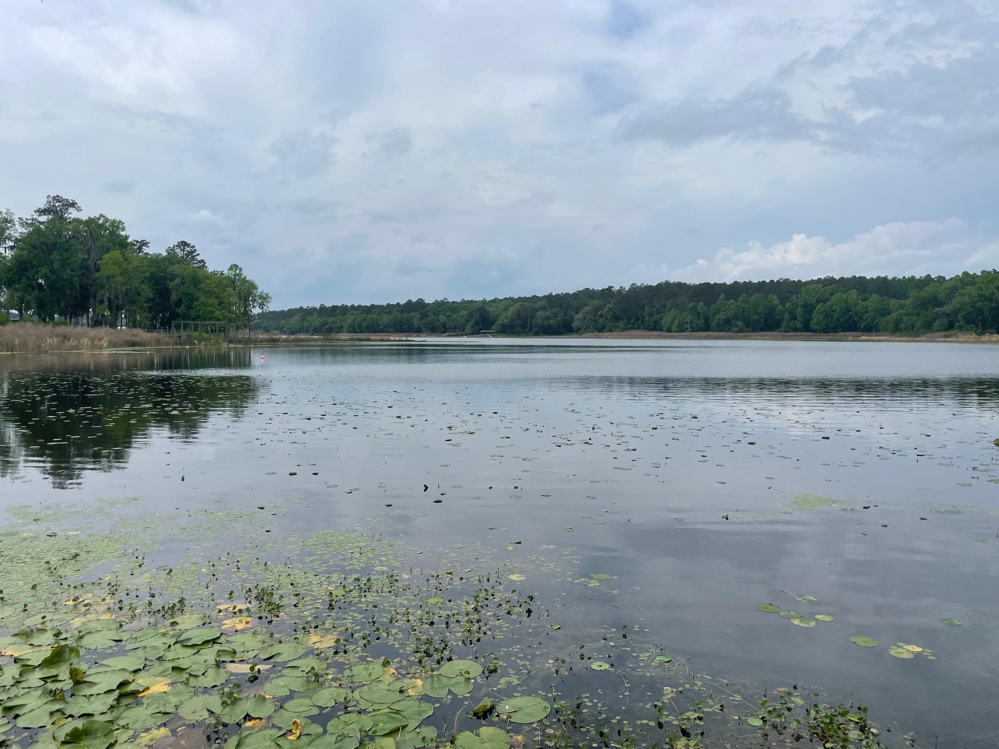 2192 Thirlestane Road Tallahassee, FL 32309 - Photo 3 of 26